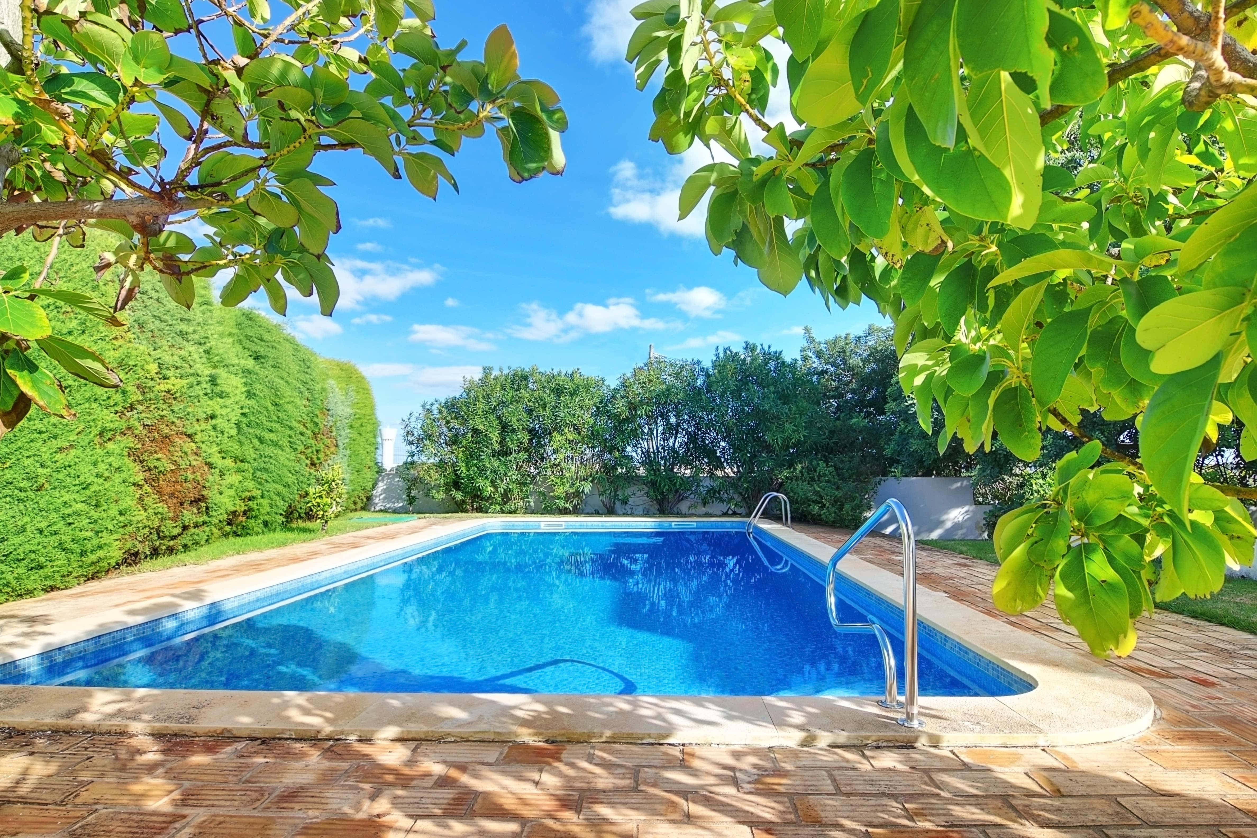 Beach Swimming Pool 桌布 壁紙 — 一個寧靜的長方形游泳池，充滿活力的藍色池水，在晴朗的藍天下，被茂密的綠色植物和陽光斑駁的磚砌庭院所環繞。