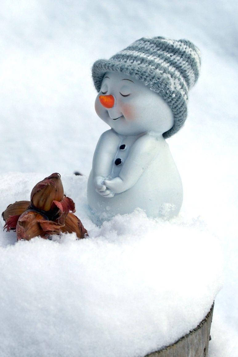 Cute Snow 桌布 壁紙 — 一個寧靜的雪人公仔戴著灰色針織帽，在新雪中輕輕微笑，旁邊有一簇乾燥的秋葉。