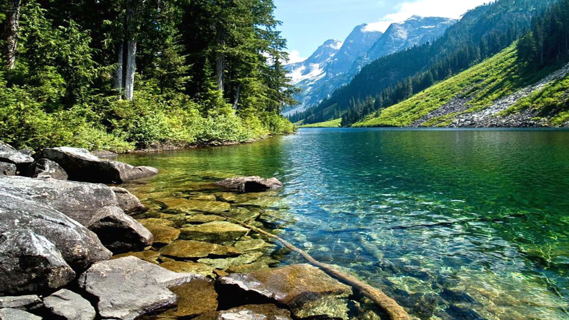 Spring Water 桌布 壁紙 — 一個寧靜的高山湖泊，擁有清澈見底的碧綠湖水，四周被茂密的常綠森林和白雪覆蓋的山峰環繞，上方是明亮的藍天。