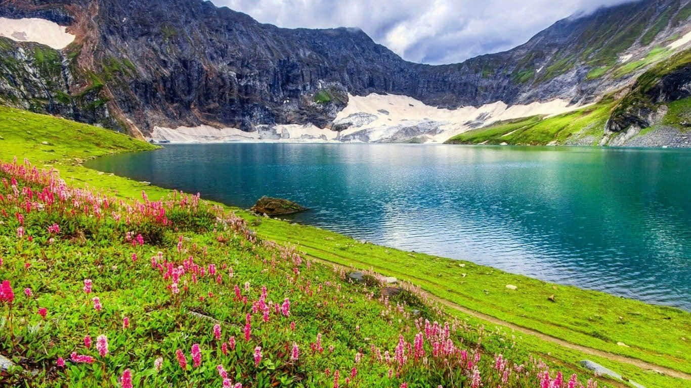 Lake 桌布 壁紙 — 一個寧靜的高山湖泊，湖水呈碧綠色，坐落在崎嶇的山脈之間，前景是充滿活力的粉紅色野花。