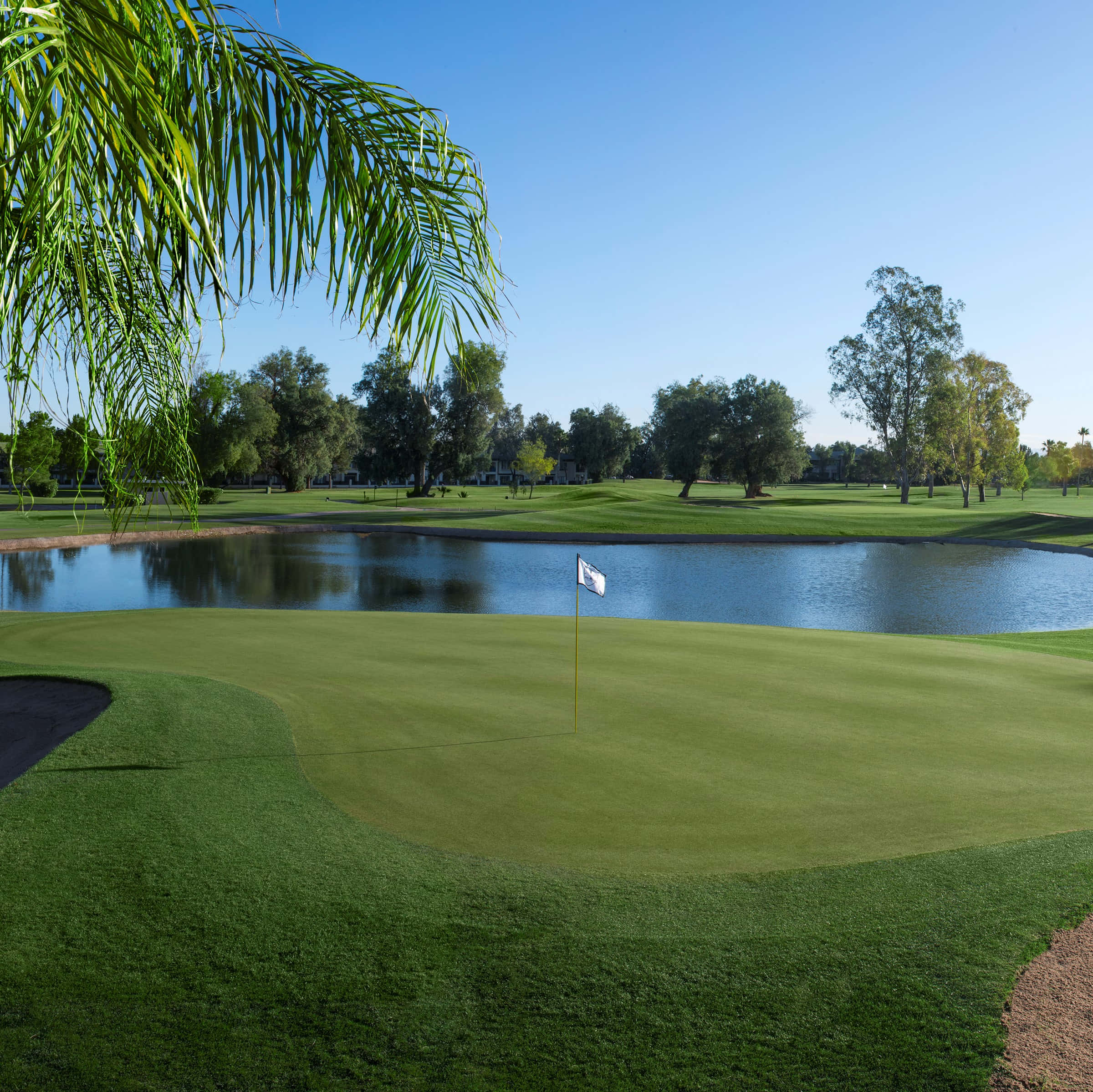 Golf Green 桌布 壁紙 — 一個寧靜的高爾夫果嶺，旗桿立在平靜的水障礙旁，棕櫚葉框著清澈的藍天。