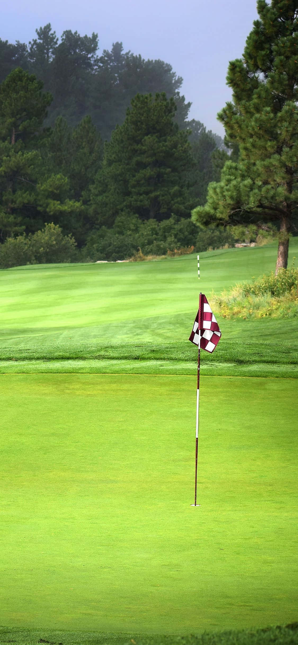 iPhone X Golf Course 桌布 壁紙 — 一個寧靜的高爾夫果嶺，紅白格子旗在朦朧天空下，以茂密的松樹為背景高高聳立。