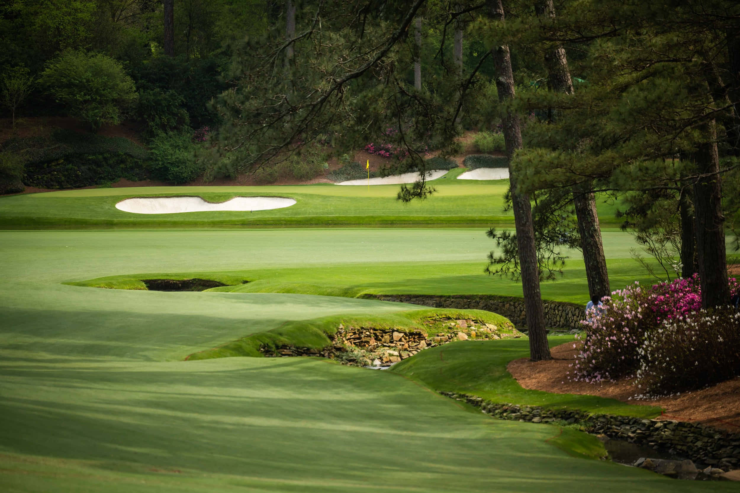 Augusta National iPhone 桌布 壁紙 — 一個寧靜的高爾夫球場，擁有茂密的綠色球道、沙坑和松樹，在柔和日光下。