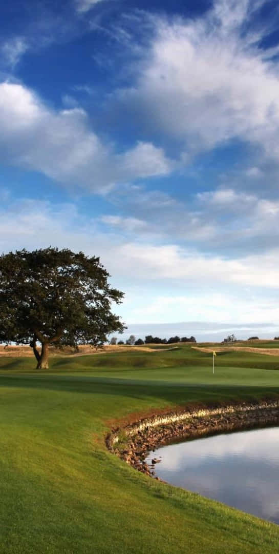 Pixel 3 Golf Course 桌布 壁紙 — 一個寧靜的高爾夫球場，擁有鬱鬱蔥蔥的綠色球道、平靜的水障礙，以及一棵孤獨的樹，在明亮的藍天白雲下。
