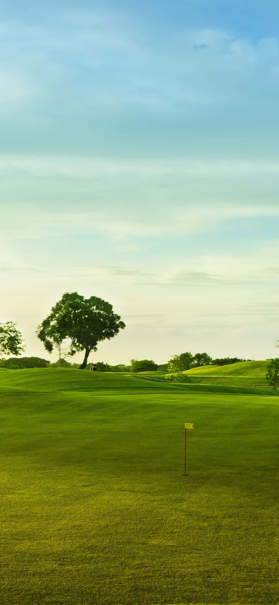 iPhone X Golf Course 桌布 壁紙 — 一個寧靜的高爾夫球場，有一棵孤樹和旗桿，在柔和藍天下，正值黃金時段。