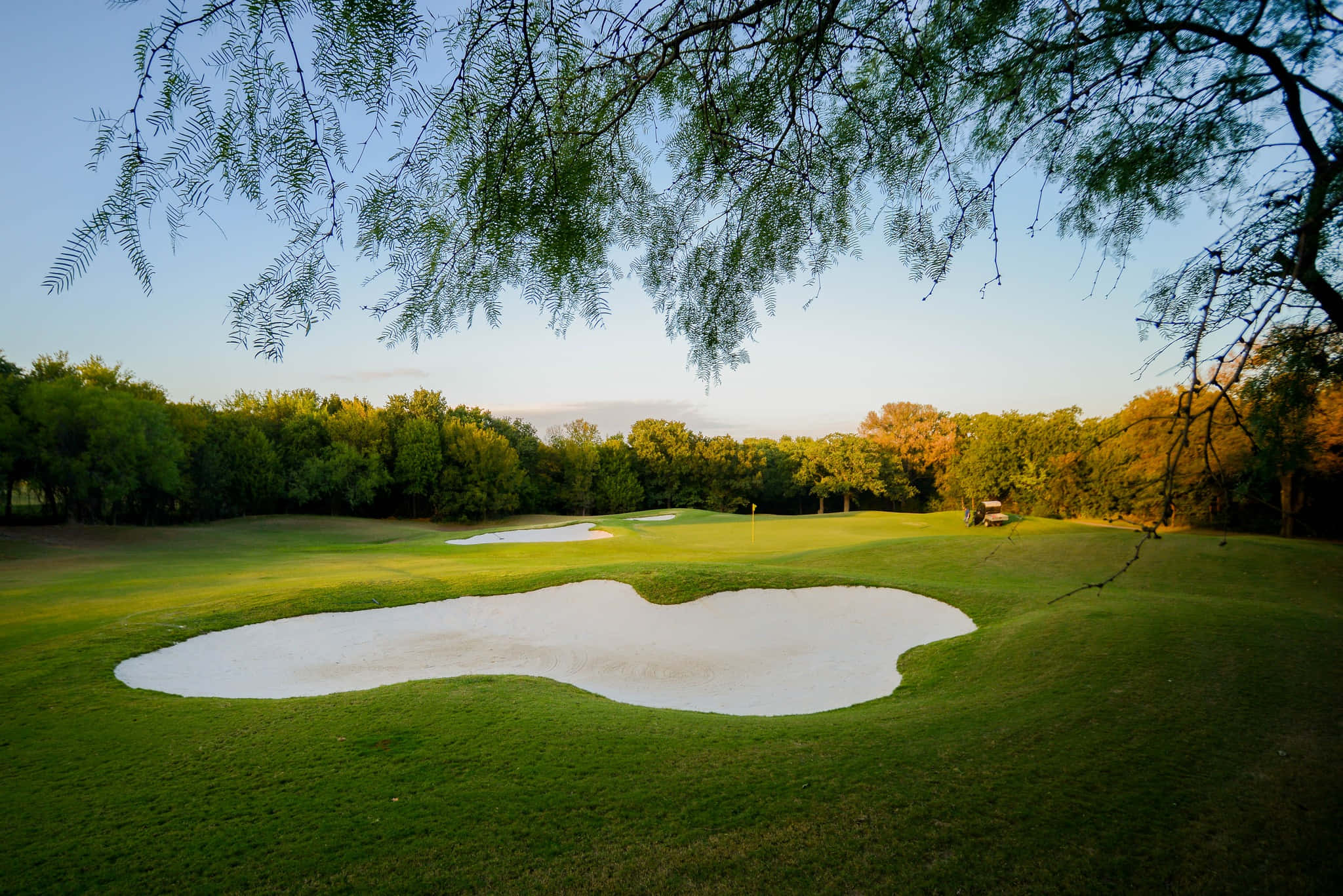 Golf Green 桌布 壁紙 — 一個寧靜的高爾夫球場在日落時分被樹枝框住，擁有充滿活力的綠色球道和沙坑。