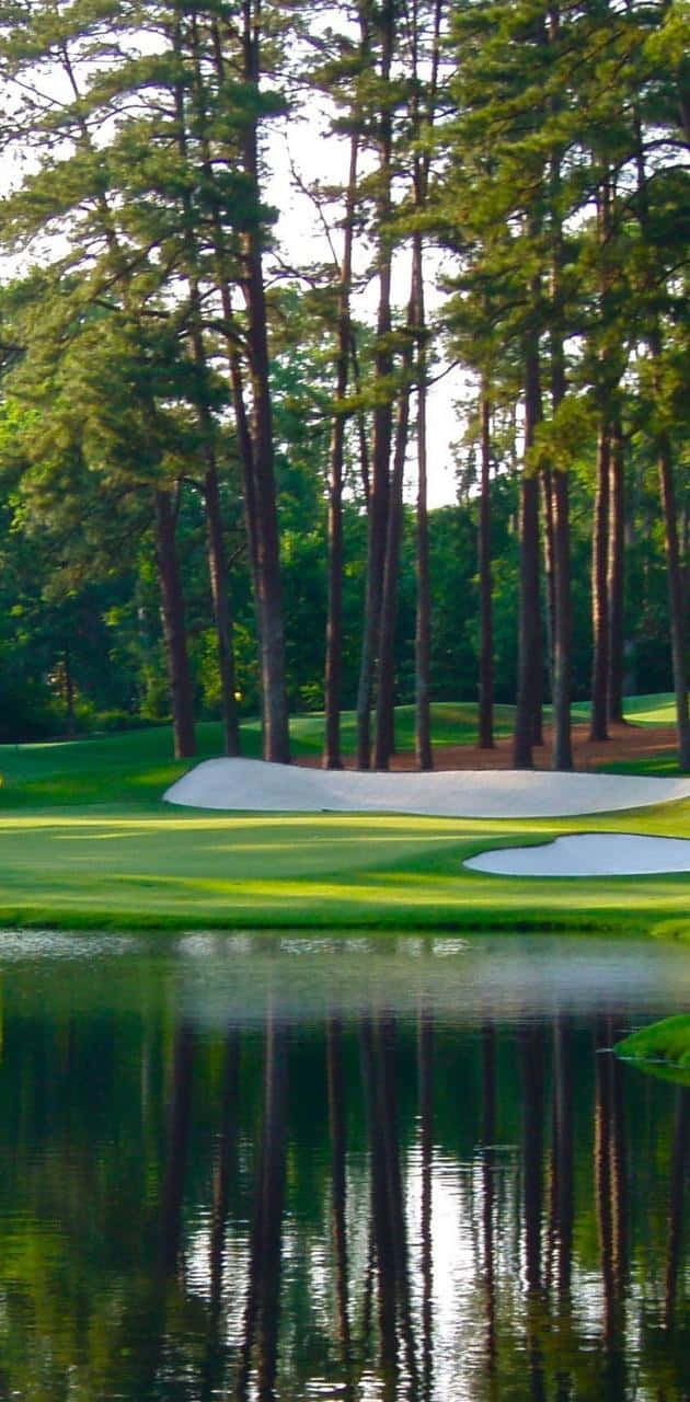Augusta National iPhone 桌布 壁紙 — 一個寧靜的高爾夫球場果嶺，被高大的松樹環繞，水面倒映著樹木和天空。