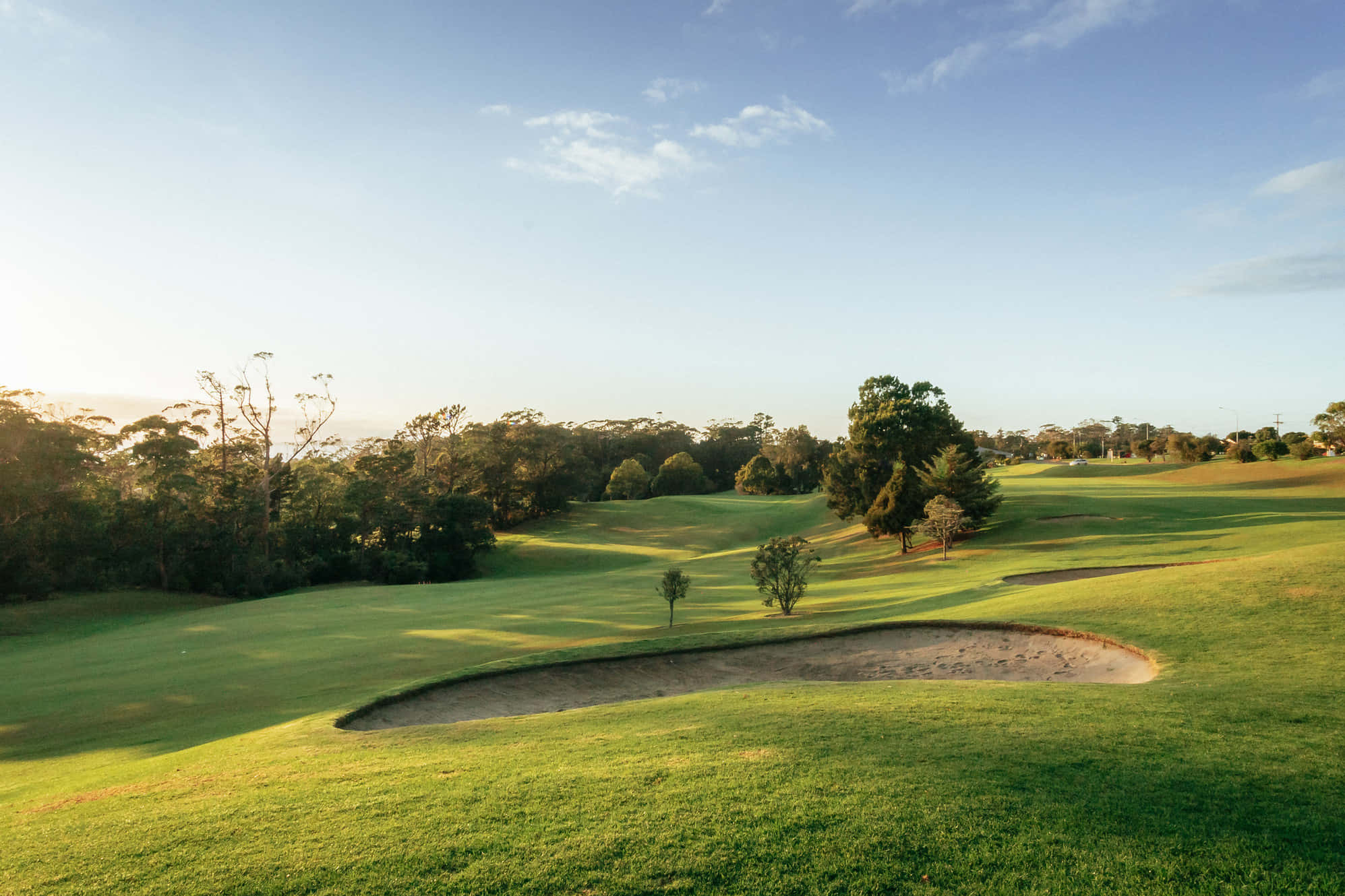 Golf Green 桌布 壁紙 — 一個寧靜的高爾夫球場沐浴在金色的日出光芒中，起伏的綠色球道和前景的沙坑。