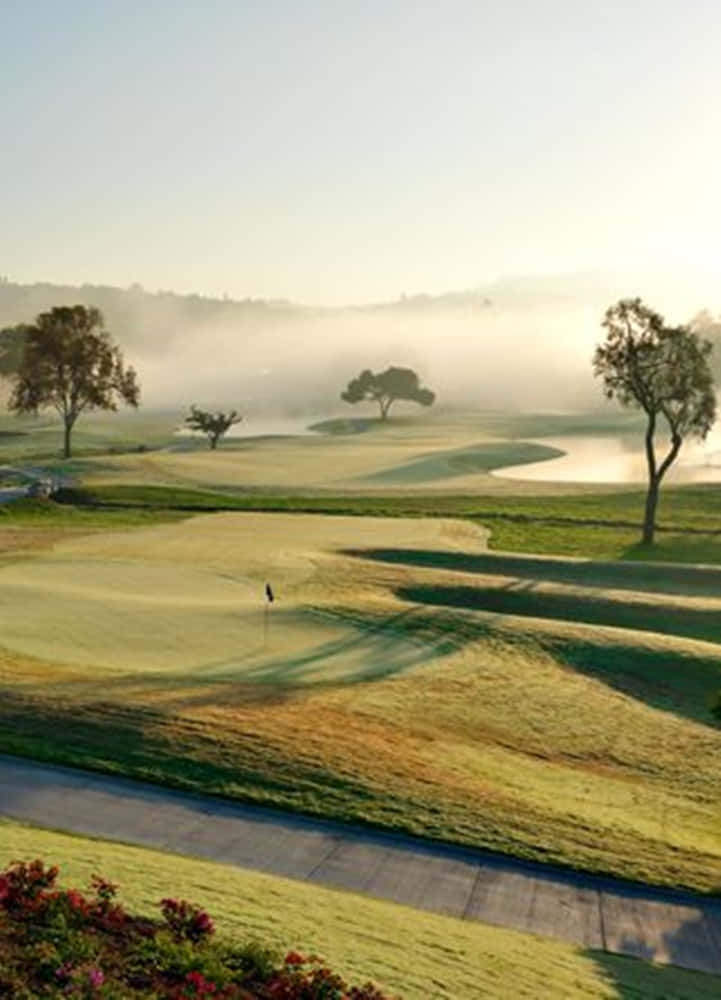 高爾夫球場，薄霧和日出在綠色球道上投下長長的影子。 — 高爾夫 壁紙