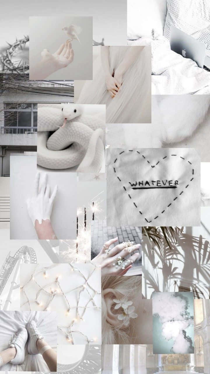 White Aesthetic Collage 桌布 壁紙 — 一個寧靜的黑白拼貼畫，包含手、蛇、花朵以及帶有柔和光線和極簡美學的舒適室內設計。