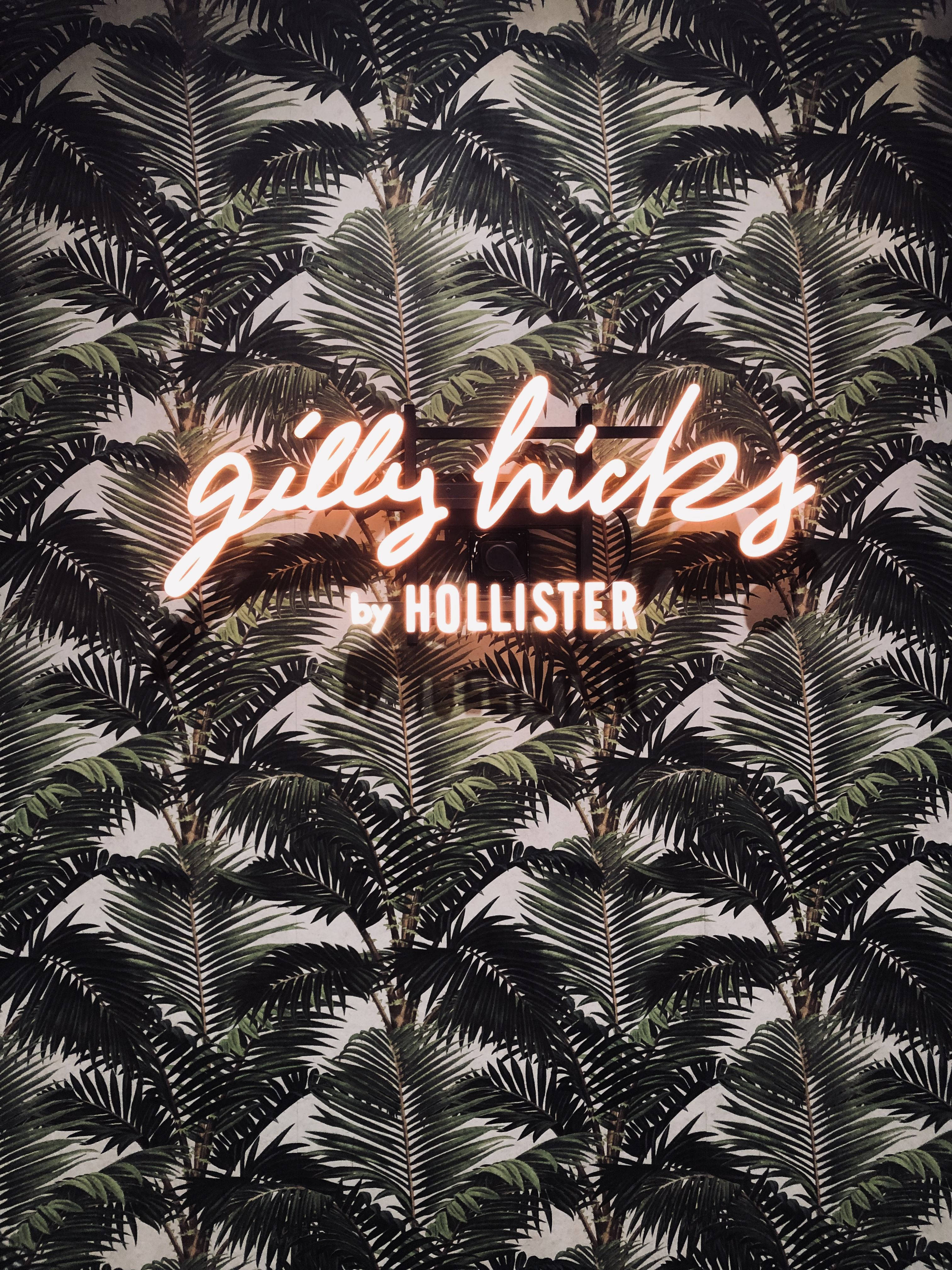 Hollister 桌布 壁紙 — 一個寫著 gilly hicks by hollister 的霓虹燈牌，在濃密的熱帶棕櫚葉壁紙圖案上溫暖地發光。