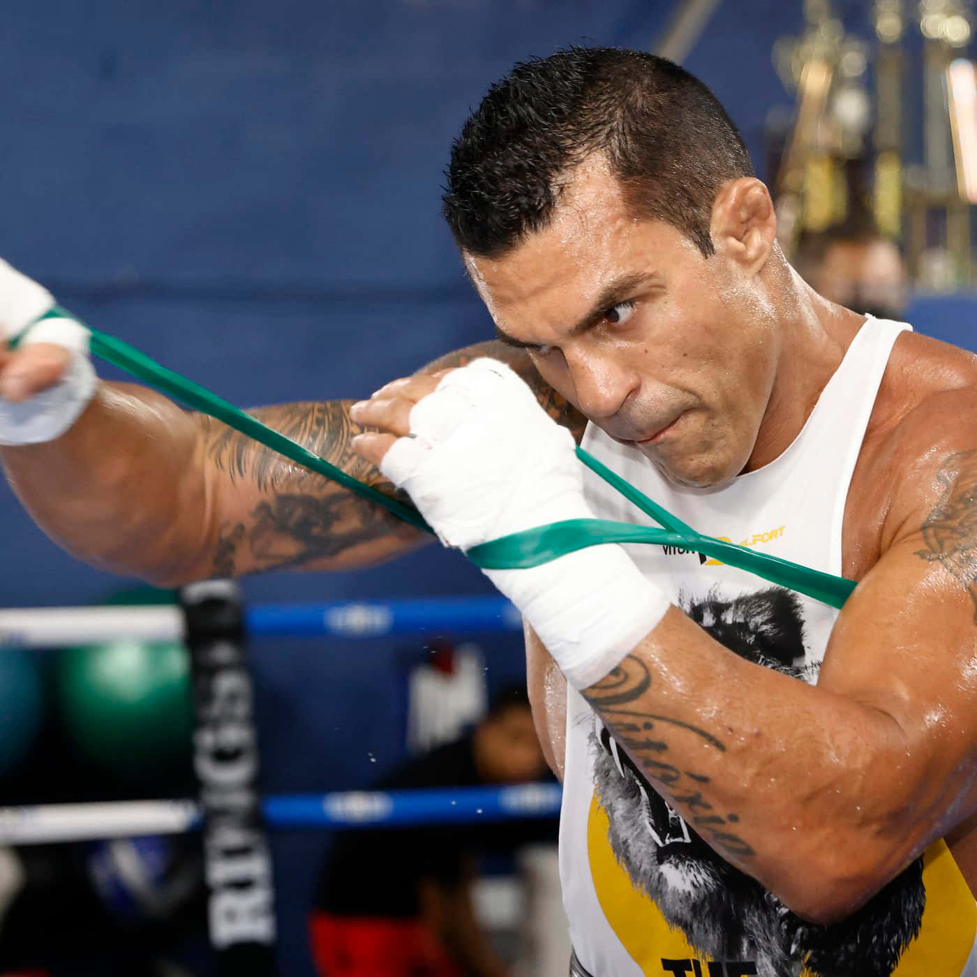 Boxing 桌布 壁紙 — 一個專注的刺青拳擊手在藍色擂台上拉緊綠色阻力帶。