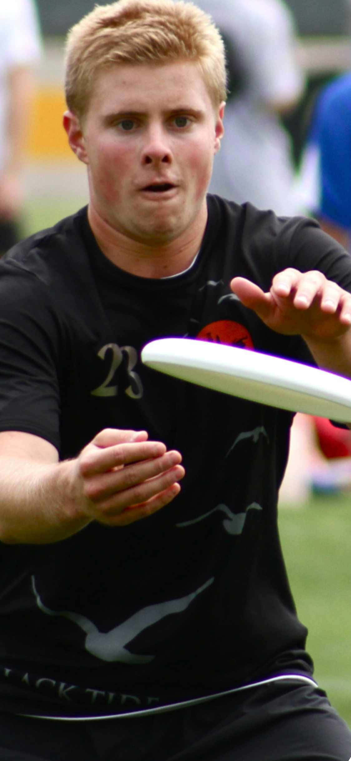 運動 桌布 壁紙 — 一個專注的年輕男子穿著黑色球衣，準備在草地上接住一個白色飛盤。