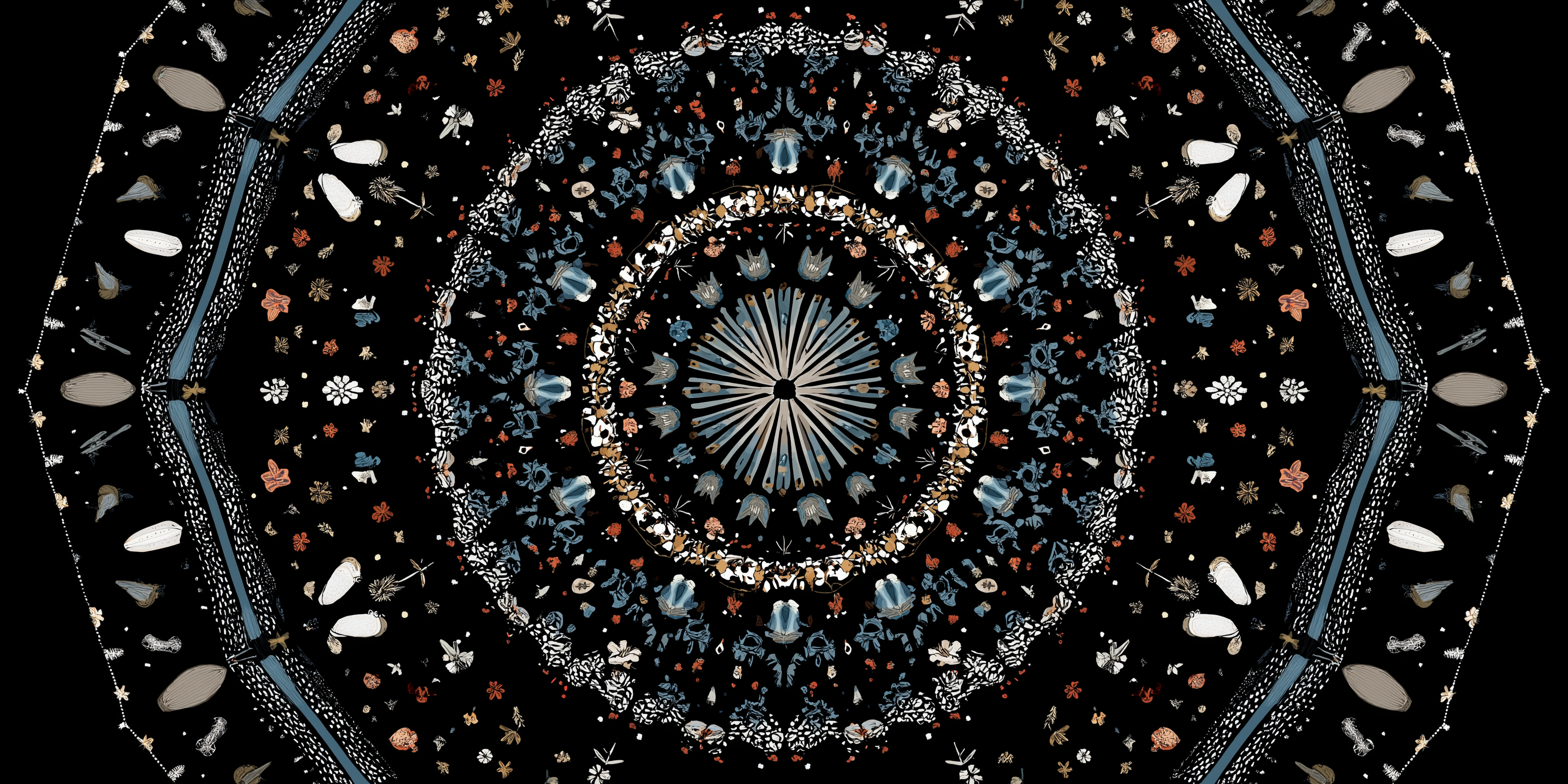 kaleidoscope 桌布 壁紙 — 一個對稱的曼陀羅圖案從中央的太陽爆發圖案向外輻射，黑色背景上點綴著細小的花卉和幾何元素。