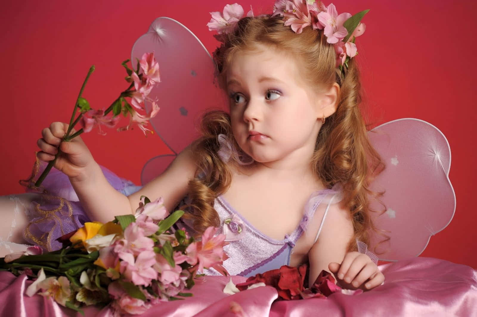 Cute Fairy 桌布 壁紙 — 一個小女孩打扮成仙女，擁有粉紅色翅膀和花冠，在鮮豔的紅色背景下手持粉紅色花朵。