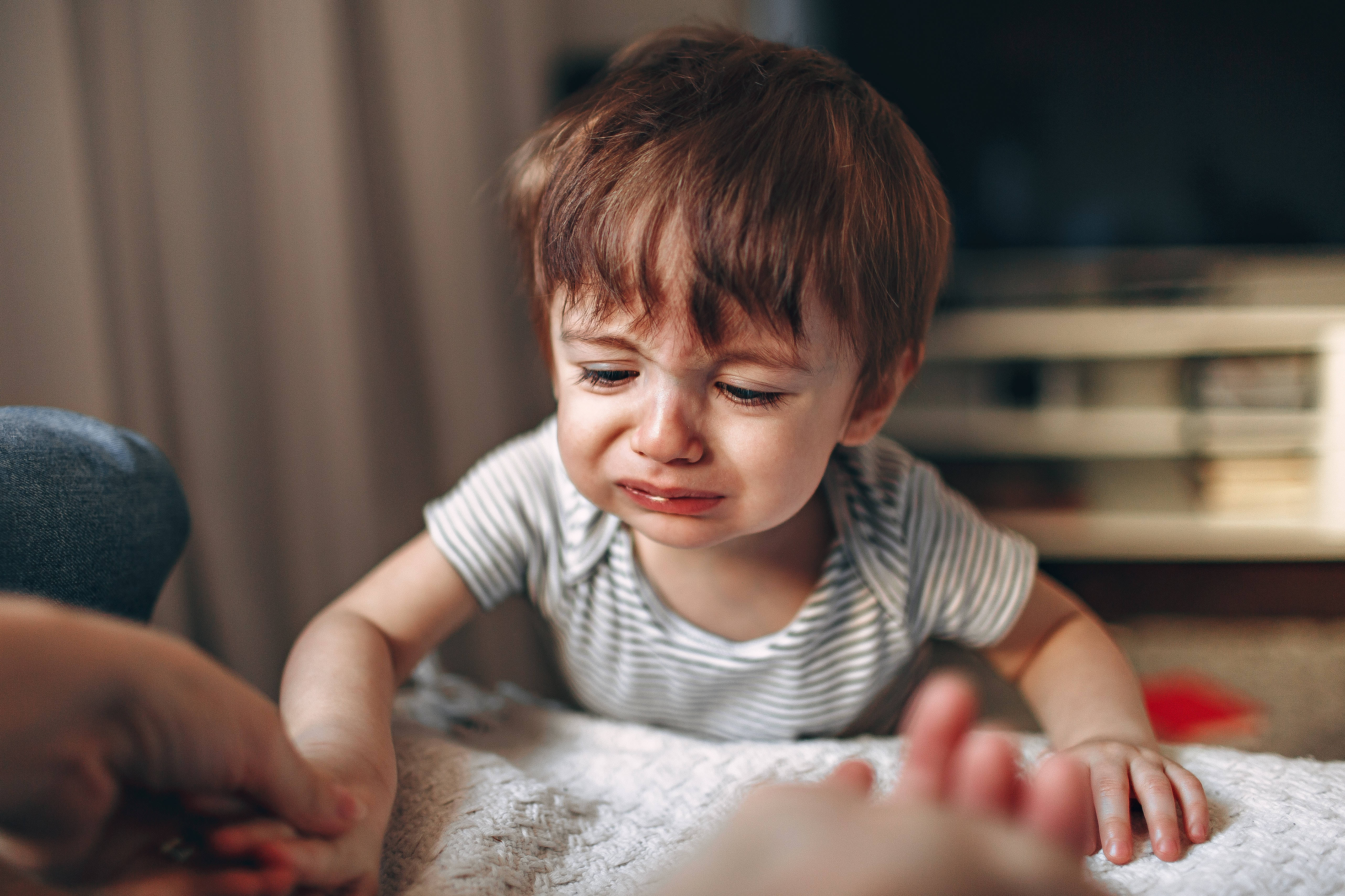 crying sad boy 桌布 壁紙 — 一個小孩在室內柔軟的地毯上哭著伸手去抓大人的手。