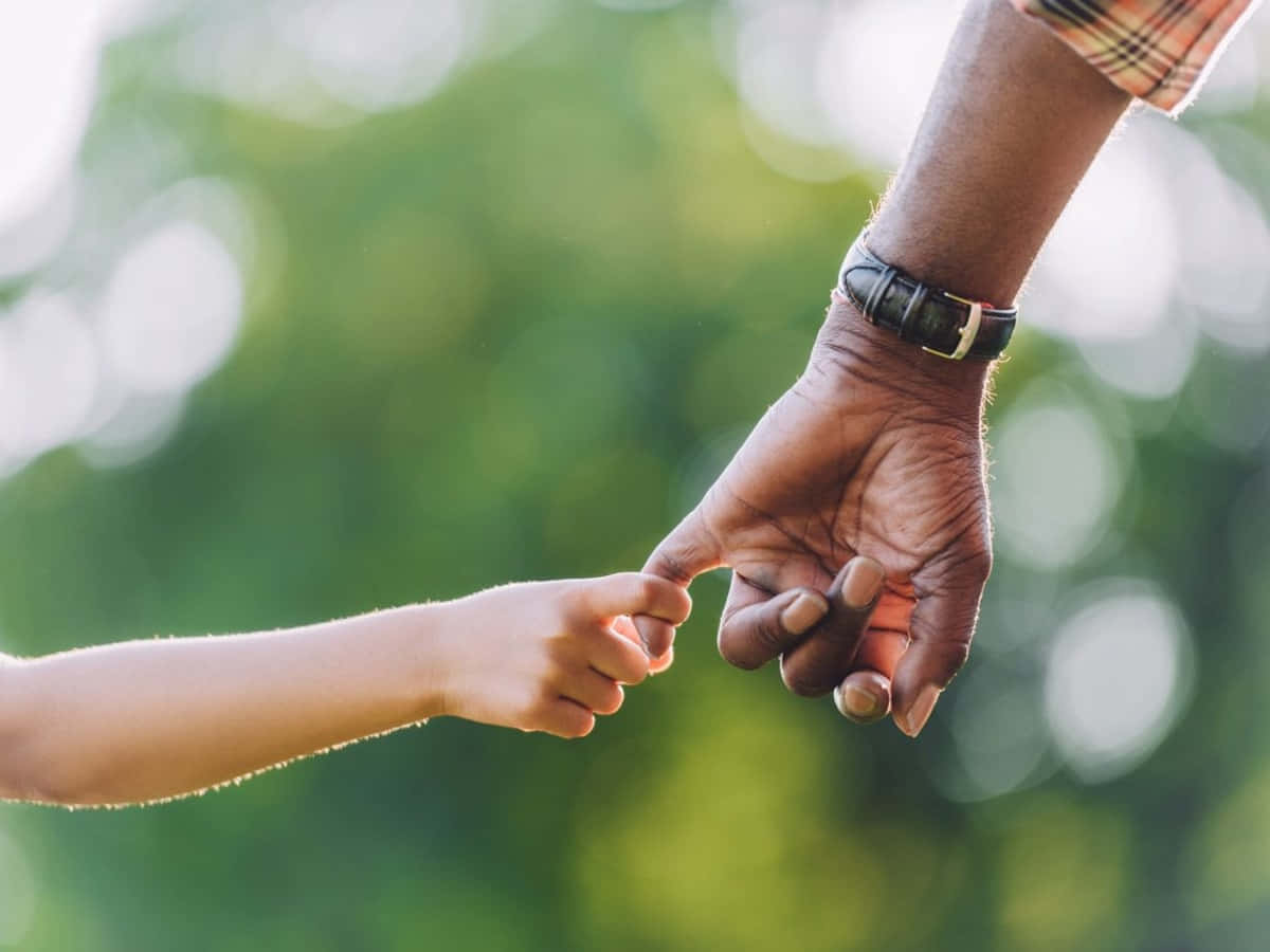 Holding Hands 桌布 壁紙 — 一個小孩的小手輕輕握著一個成年人飽經風霜的手，背景是柔和的綠色散景。