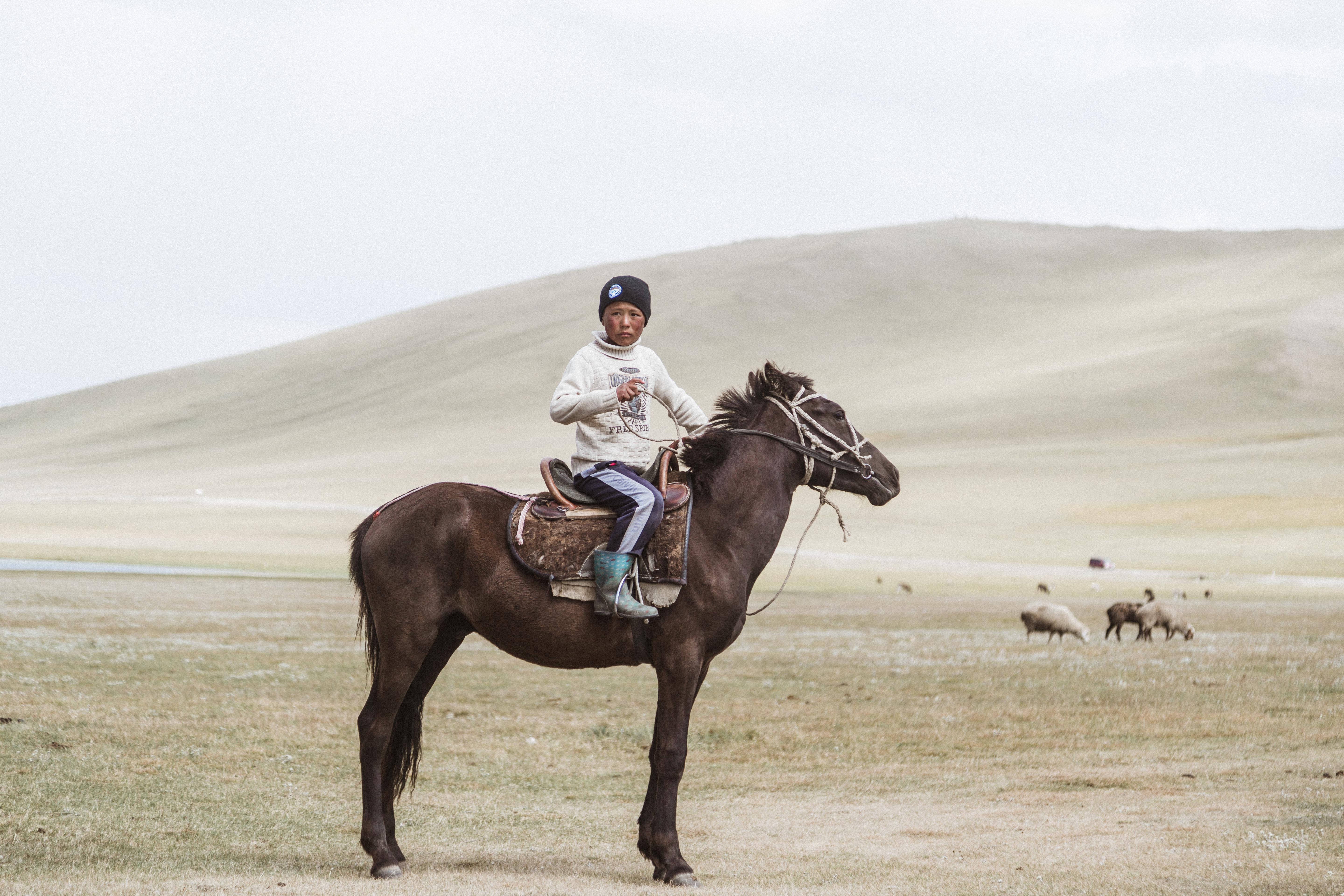 Kyrgyzstan 桌布 壁紙 — 一個小孩騎著一匹黑馬，穿過廣闊的開闊草原，有起伏的山丘和吃草的羊群，天空多雲。
