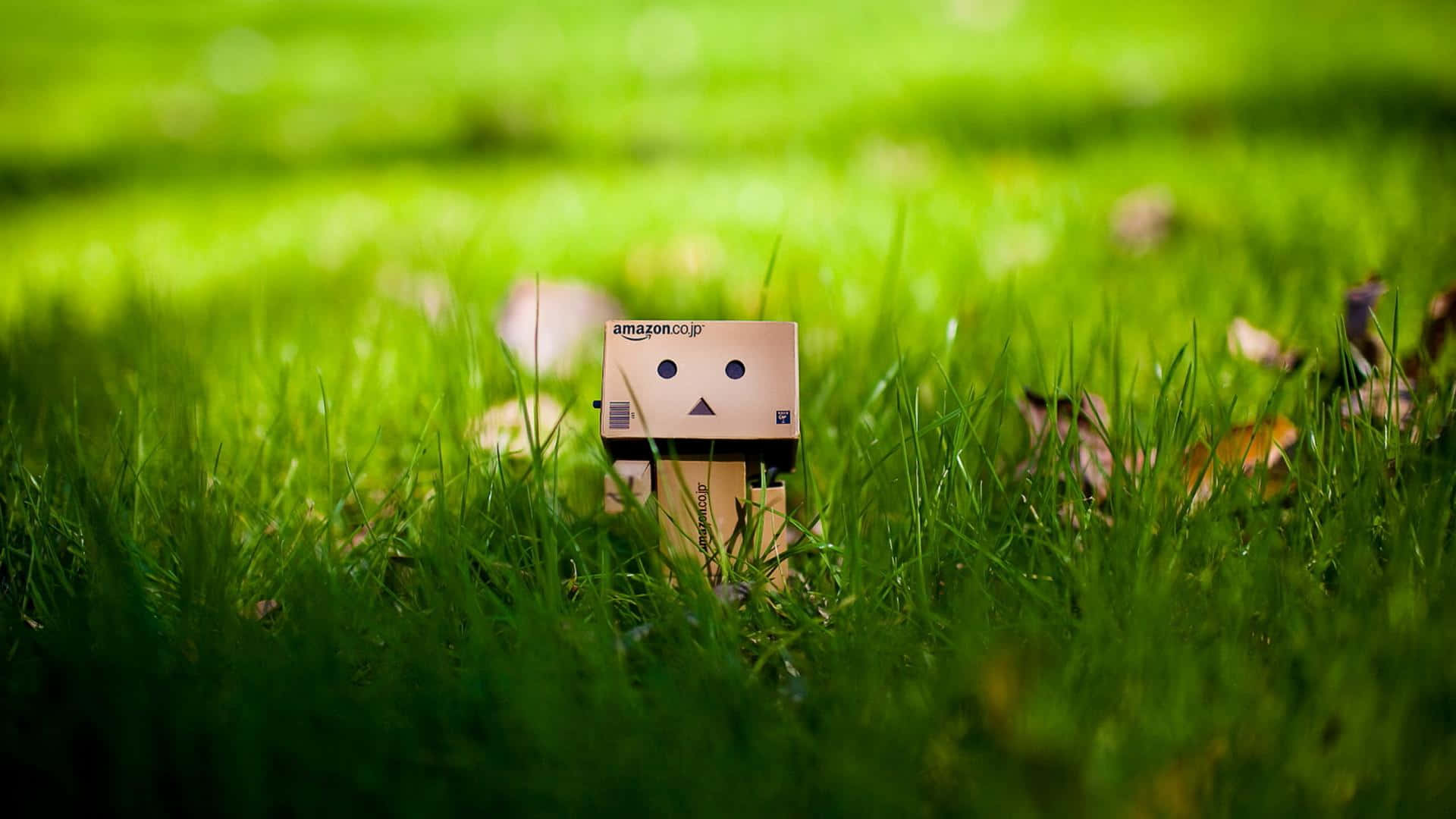 Cute Green 桌布 壁紙 — 一個小小的紙板Danbo公仔坐在充滿活力的綠色草地上，周圍散落著秋天的落葉。