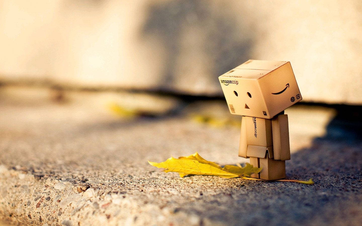 Cute Sad 桌布 壁紙 — 一個小小的紙板Danbo公仔站在一片黃葉旁邊，在溫暖陽光下的紋理混凝土表面上。