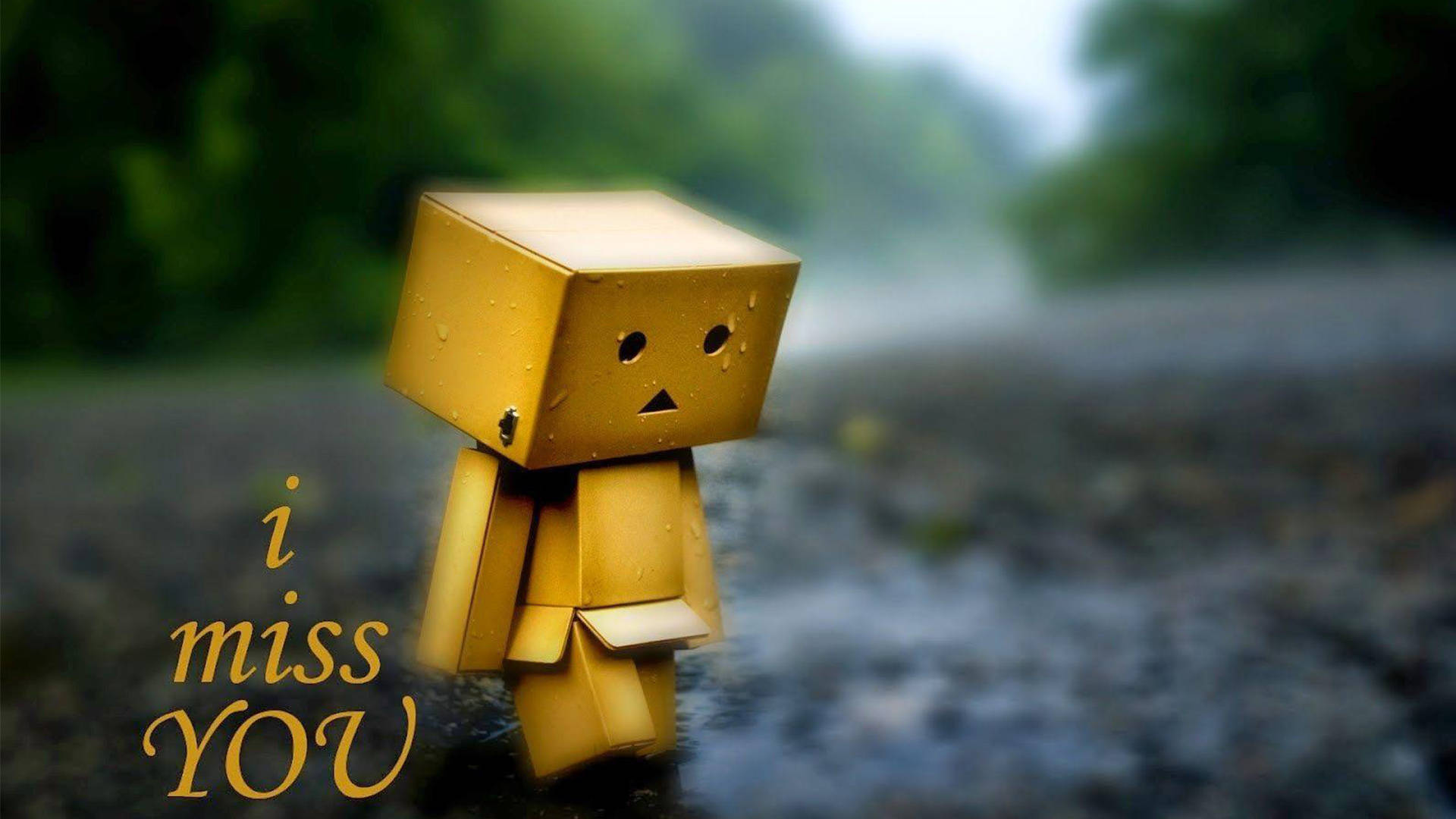我想你 桌布 壁紙 — 一個小小的黃色紙板Danbo角色獨自站在雨中濕漉漉的小徑上，背景是模糊的綠色森林。