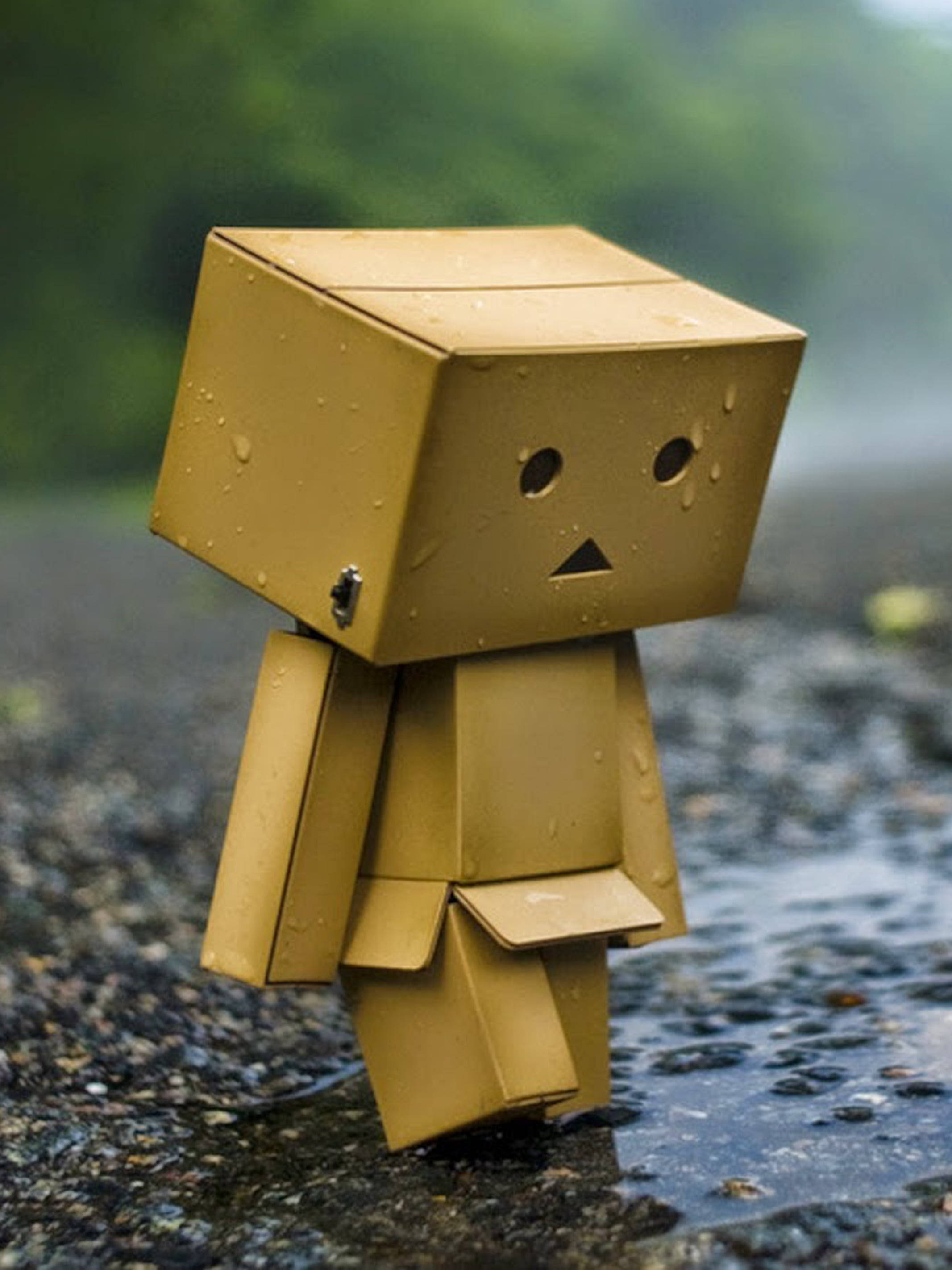 mood 桌布 壁紙 — 一個小小的黃色紙盒公仔獨自站在雨中濕漉漉的人行道上，背景是模糊的綠色。