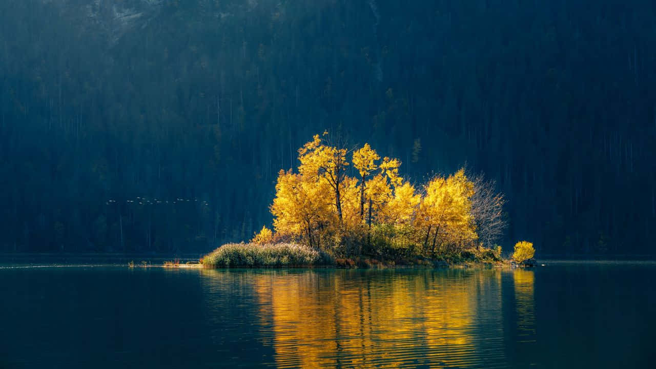 720p Nature 桌布 壁紙 — 一個小島上金黃色的秋樹在黃昏時分，在深藍色的森林湖泊襯托下溫暖地發光。