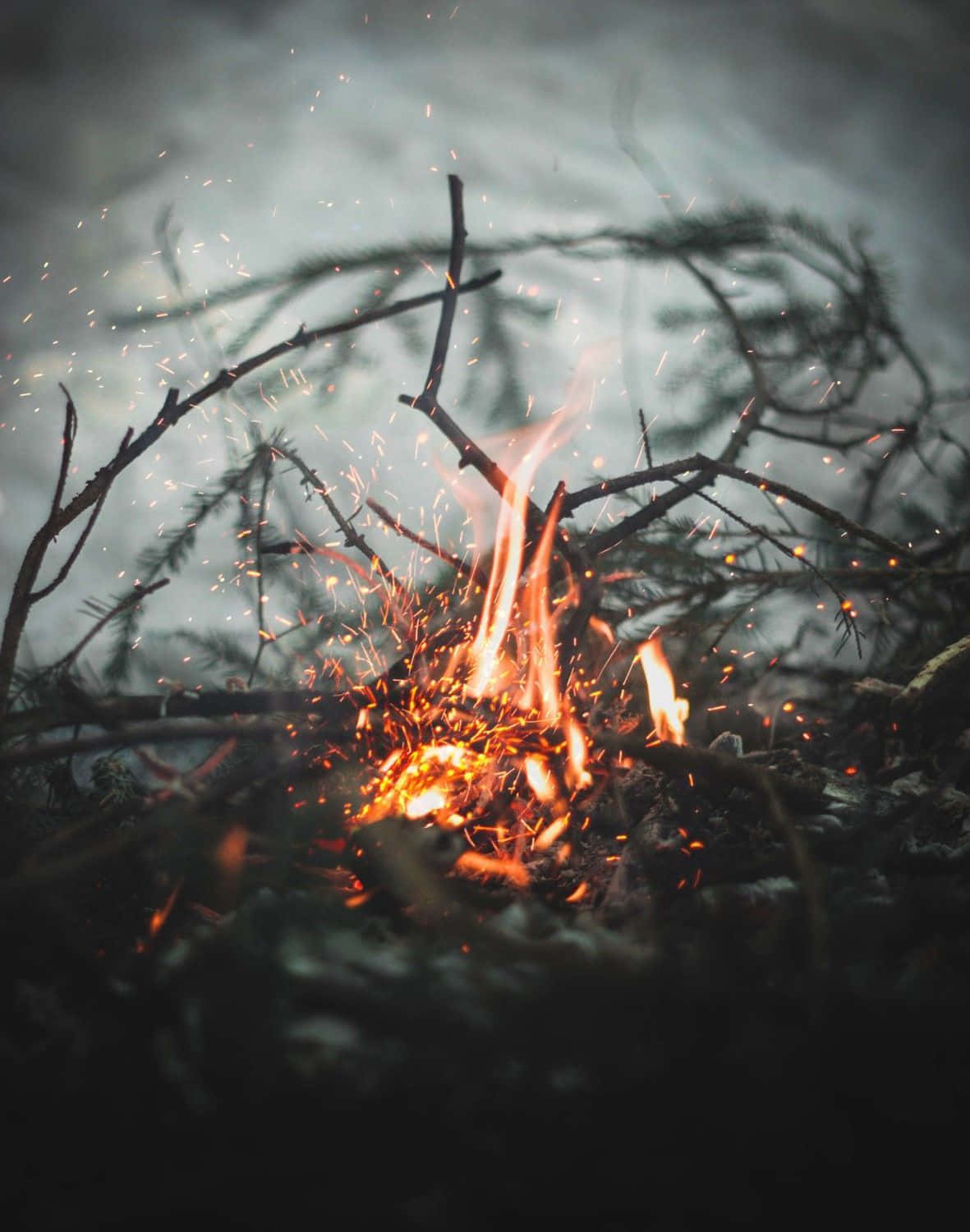 Burn 桌布 壁紙 — 一個小營火在黑暗霧濛濛的森林背景下劈啪作響，發出明亮的橙色火焰和飛舞的火花。