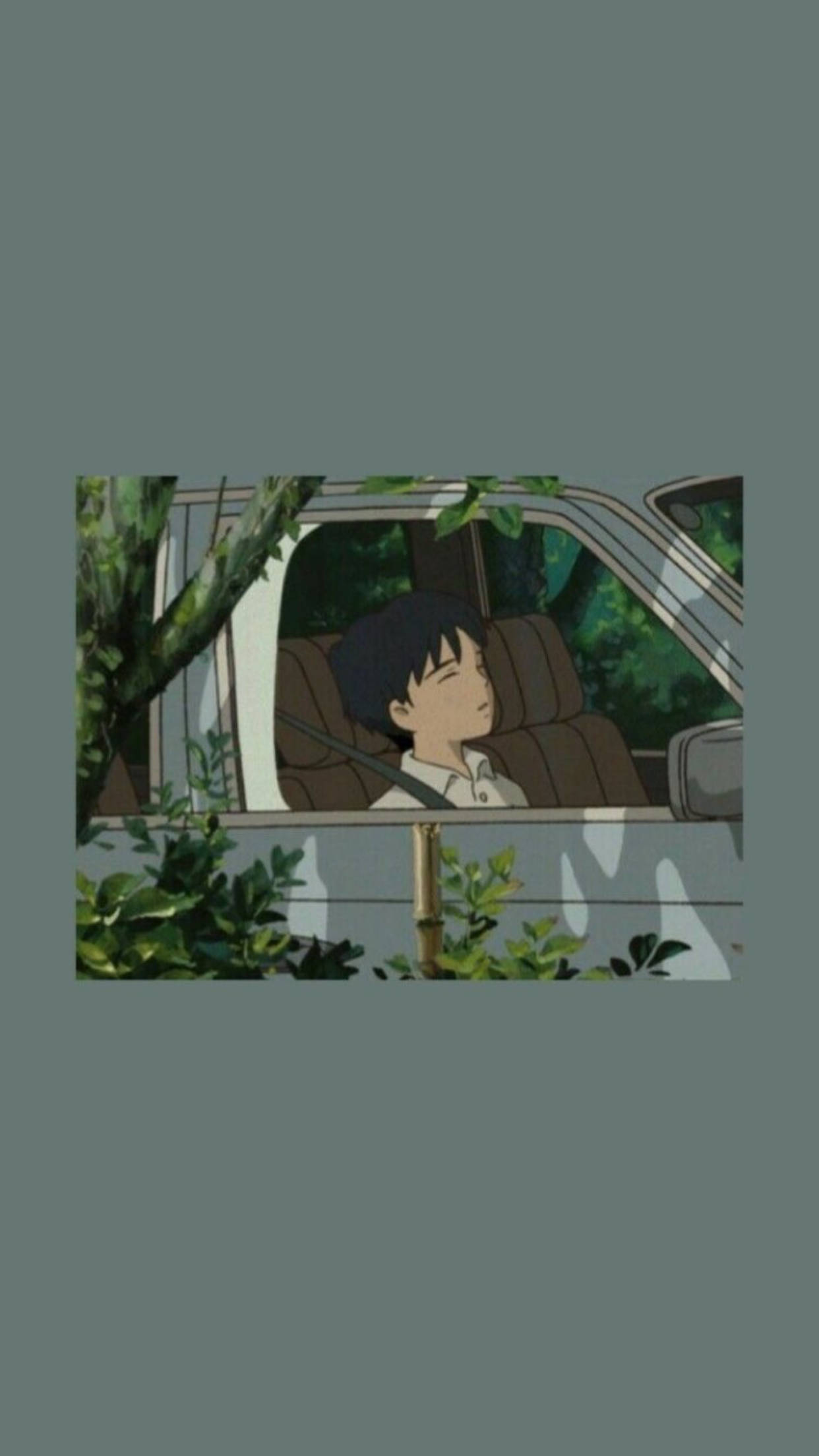 垃圾美學 桌布 壁紙 — 一個小男孩在汽車駕駛座上安詳地睡著，周圍是茂密的綠色樹葉。