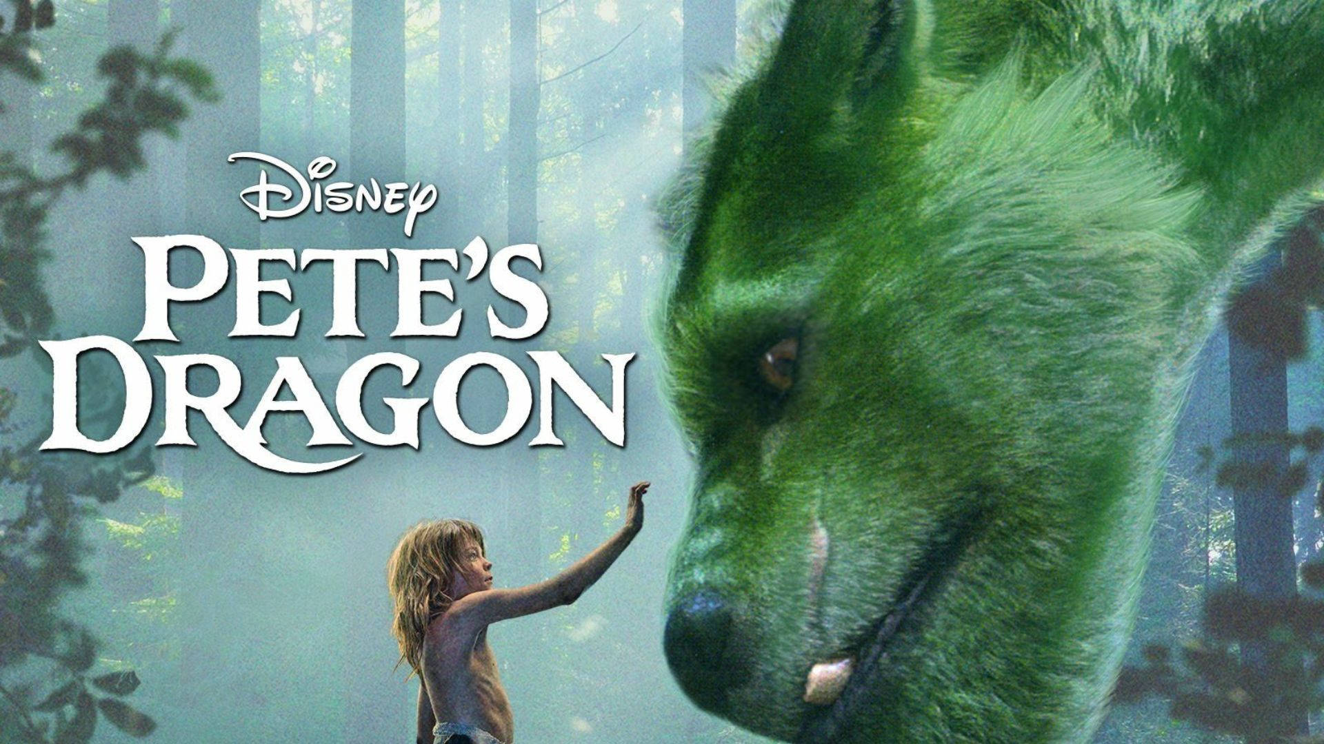 Pete's Dragon 桌布 壁紙 — 一個小男孩在迷霧森林中伸手觸碰一隻巨大的綠色龍，帶有迪士尼《妙妙龍》的標題。