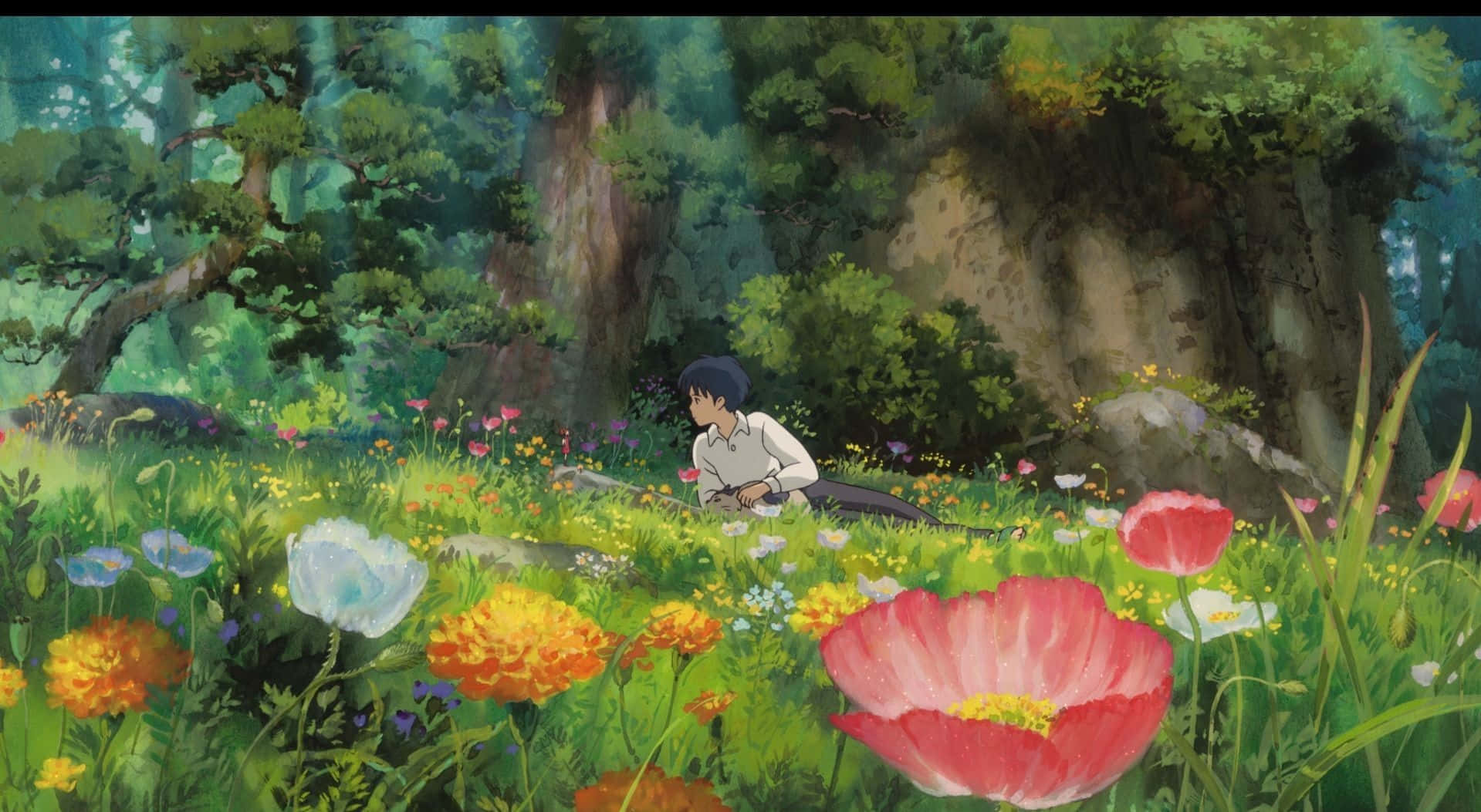 The Secret World Of Arrietty 桌布 壁紙 — 一個小男孩躺在陽光明媚的草地上，周圍是鮮豔的野花，上方是茂密的綠色森林樹冠。