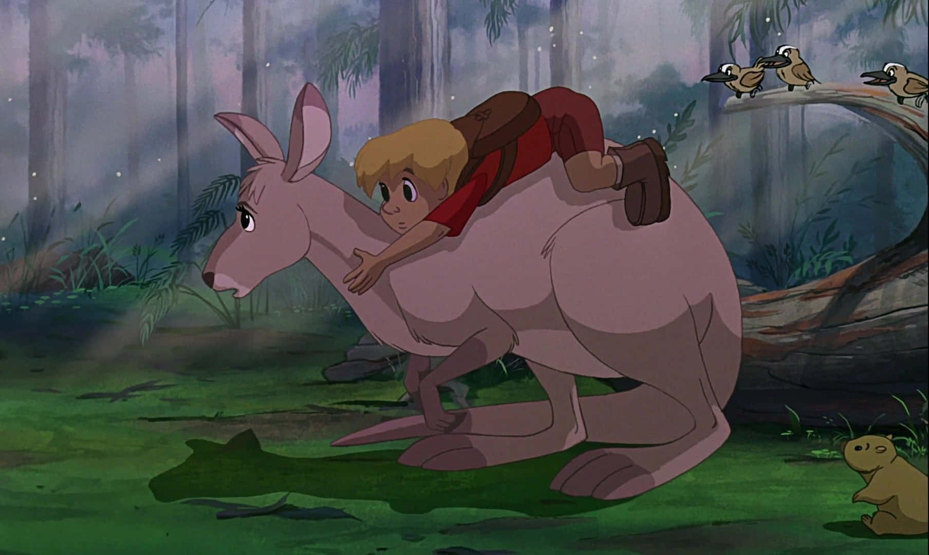 The Rescuers Down Under 桌布 壁紙 — 一個小男孩騎著一隻大袋鼠穿過霧氣瀰漫的叢林，鳥兒棲息在木頭上，附近有一隻袋熊在觀看。