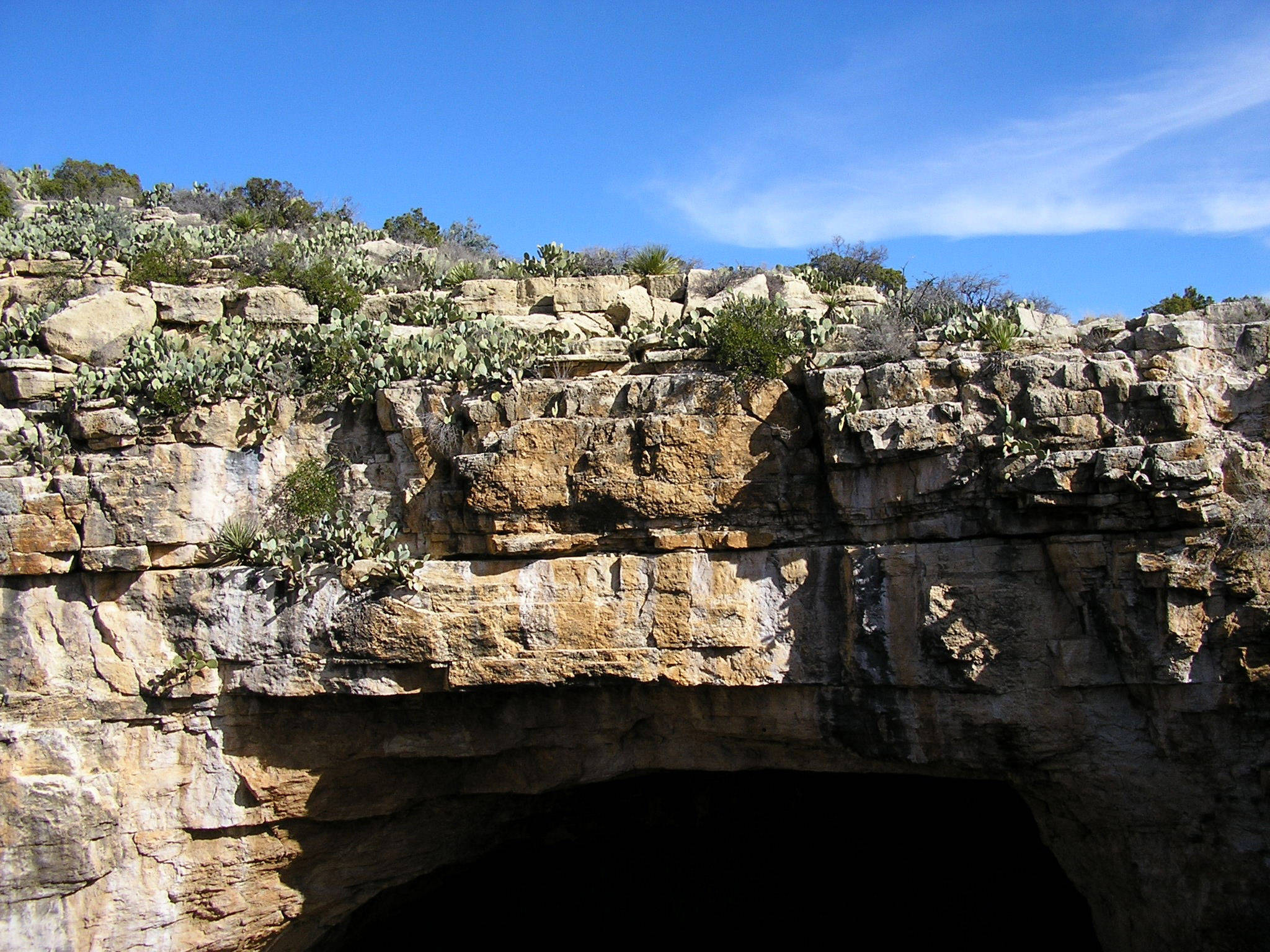 Carlsbad Caverns 桌布 壁紙 — 一個崎嶇的岩石懸崖，長滿仙人掌和灌木，在晴朗的藍天下覆蓋著一個黑暗的洞穴入口。