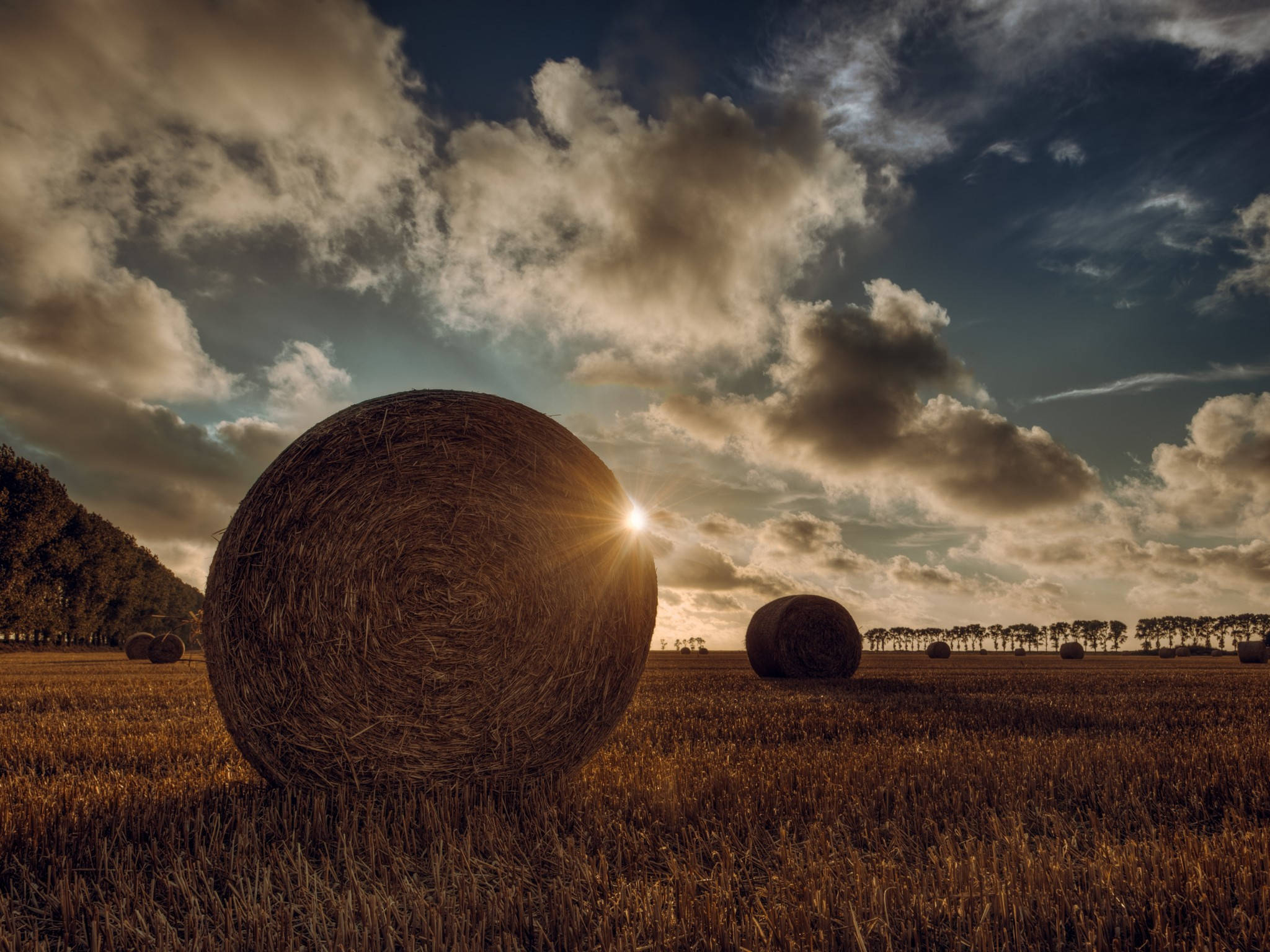 Agriculture 桌布 壁紙 — 一個巨大的乾草捆在日落時分主宰著一片金色的田野，伴隨著戲劇性的雲彩和遠處的樹木。