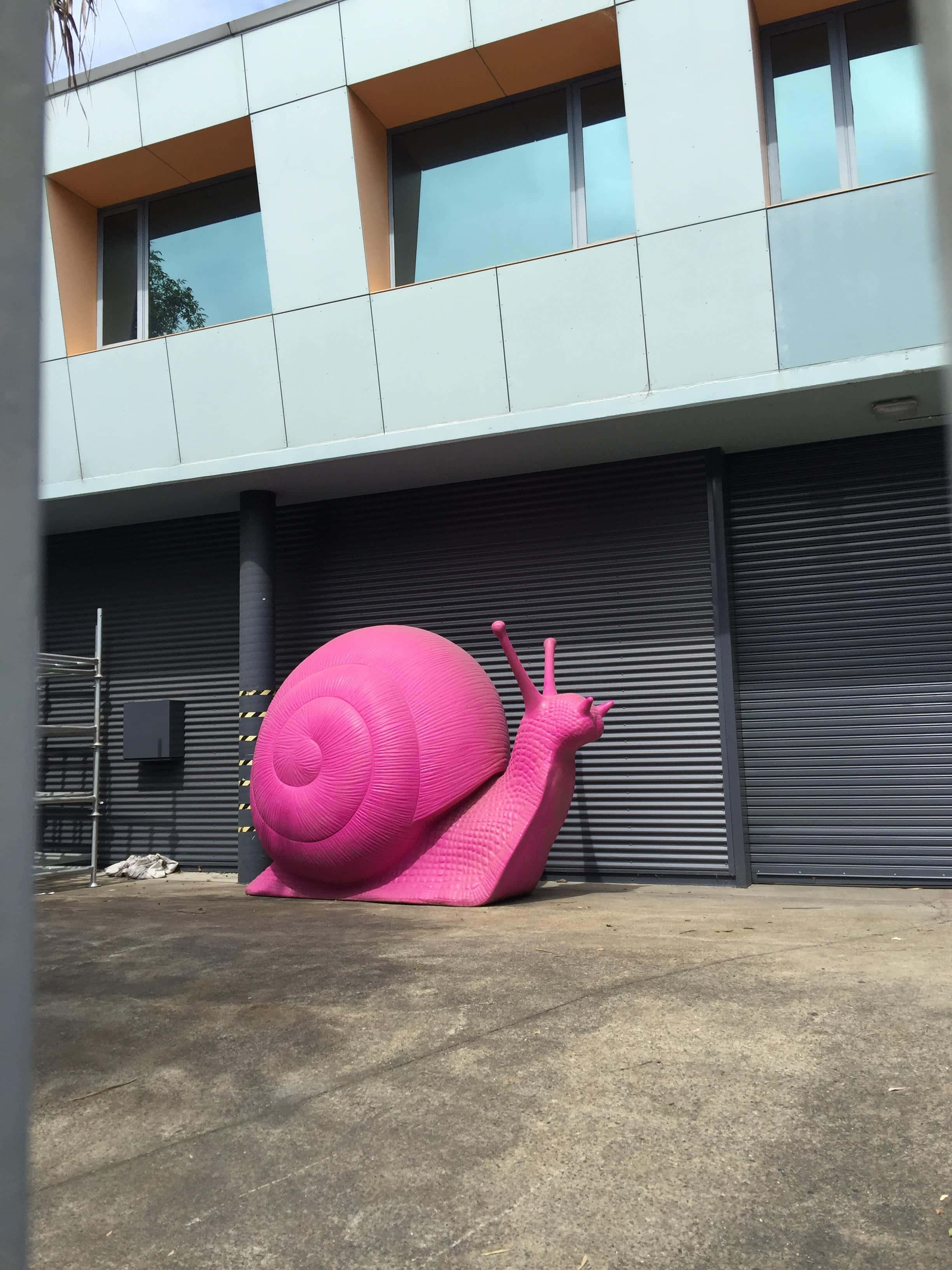 Pink Snail 桌布 壁紙 — 一個巨大的亮粉紅色蝸牛雕塑靠在一棟現代建築上，建築有灰色捲簾門和淺藍色面板。
