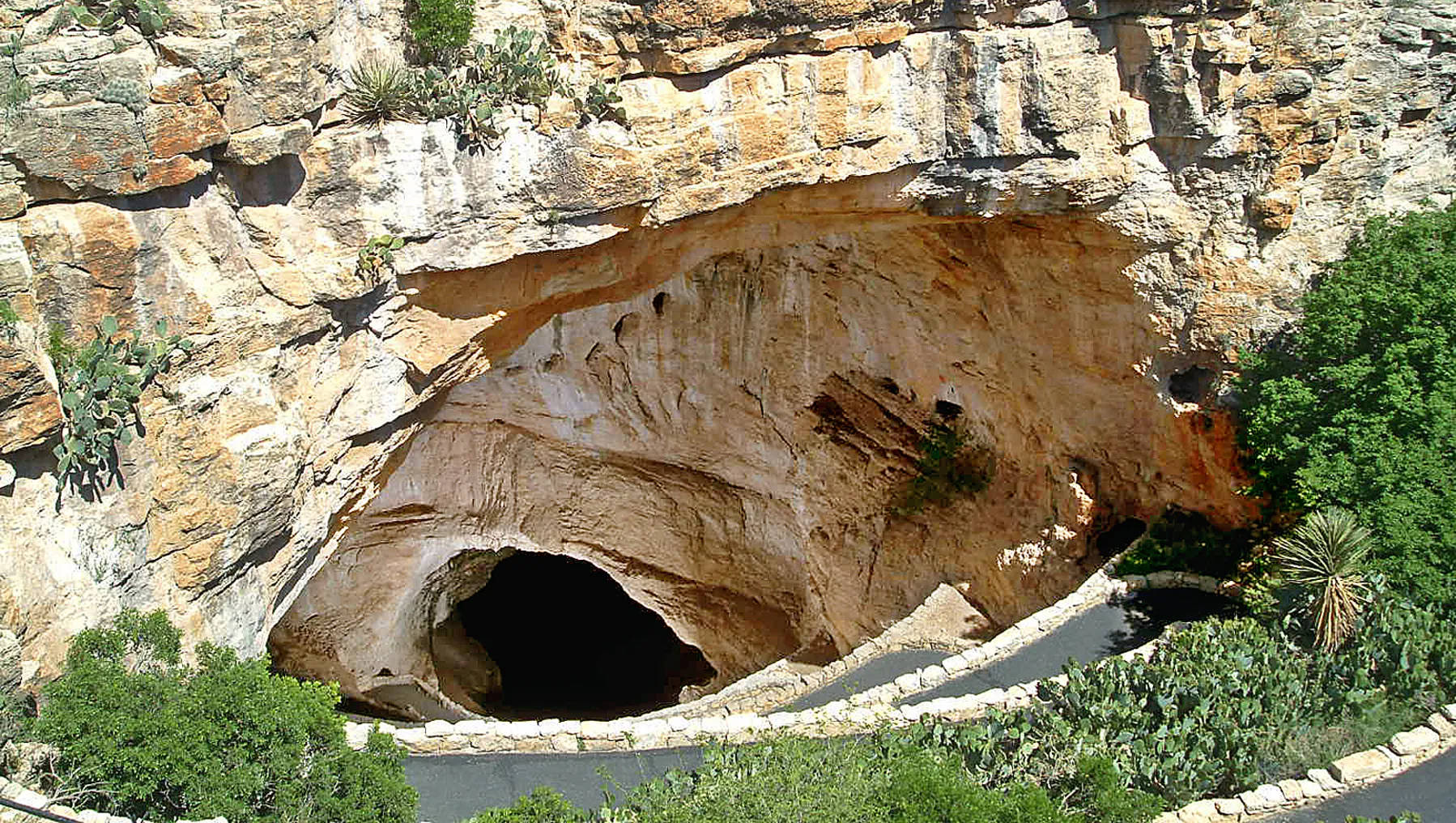 Carlsbad Caverns 桌布 壁紙 — 一個巨大的天然洞穴入口，雕刻在陽光照射的金色岩石中，下方有茂密的綠色植物和蜿蜒的小路。