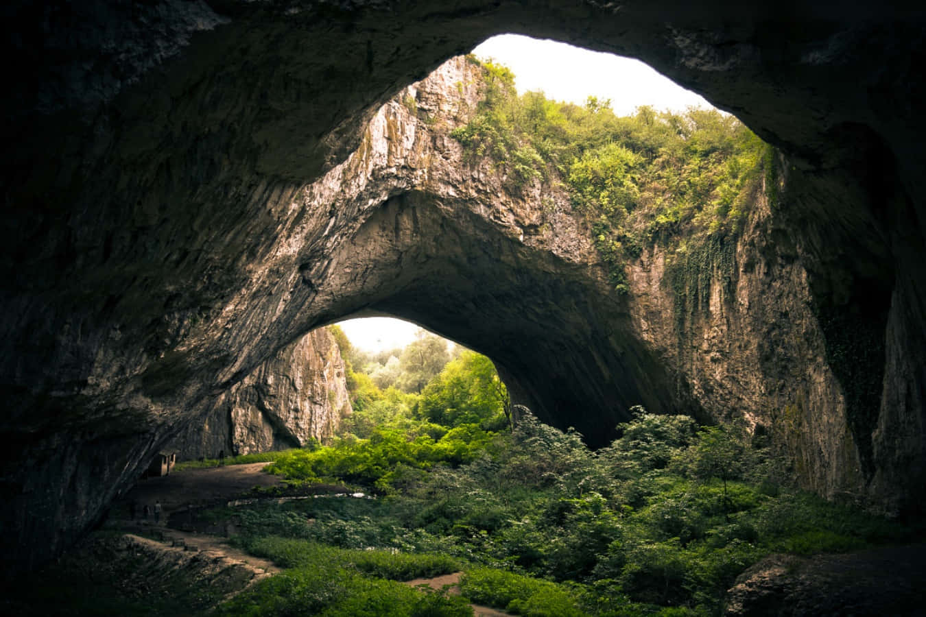 Cave 桌布 壁紙 — 一個巨大的天然石拱門框住了一個陽光明媚的森林山谷，山谷中綠意盎然，下方有一條蜿蜒的小徑。