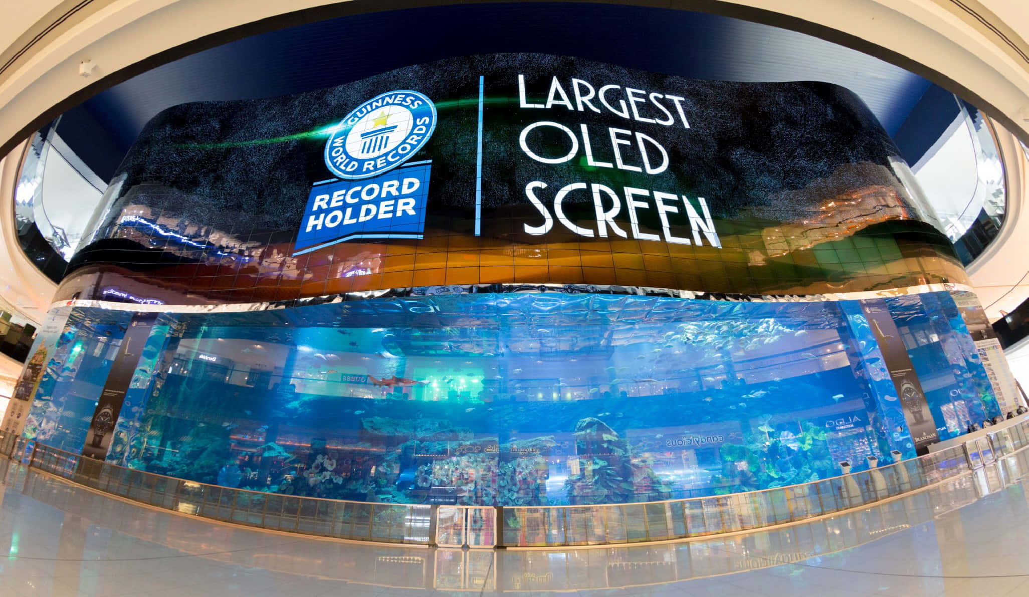 科技動圖 桌布 壁紙 — 一個巨大的弧形OLED螢幕，顯示「Largest OLED Screen」和健力士世界紀錄標誌，封閉在一個有藍色水和魚的玻璃水族箱中。