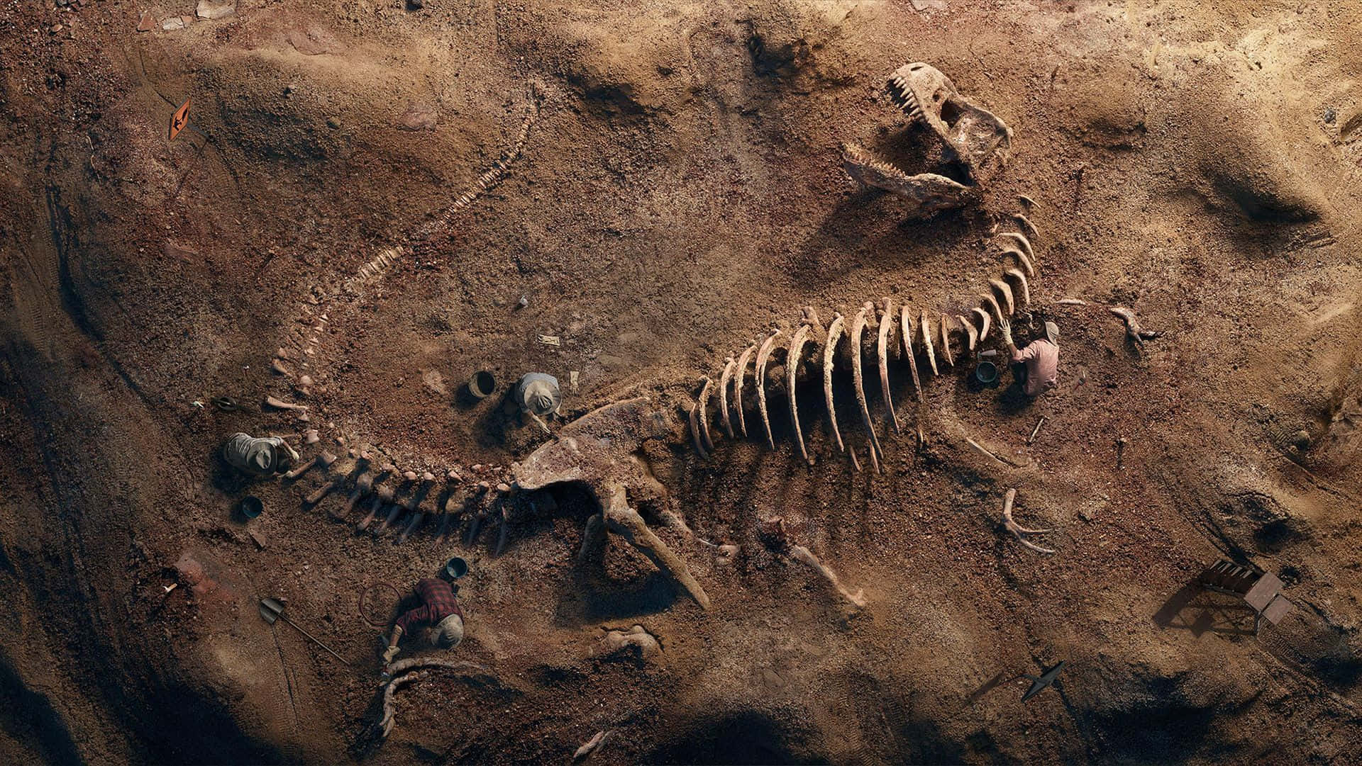 Fossil 桌布 壁紙 — 一個巨大的恐龍骨骼暴露在陽光照射的發掘坑中，周圍有古生物學家在工作。