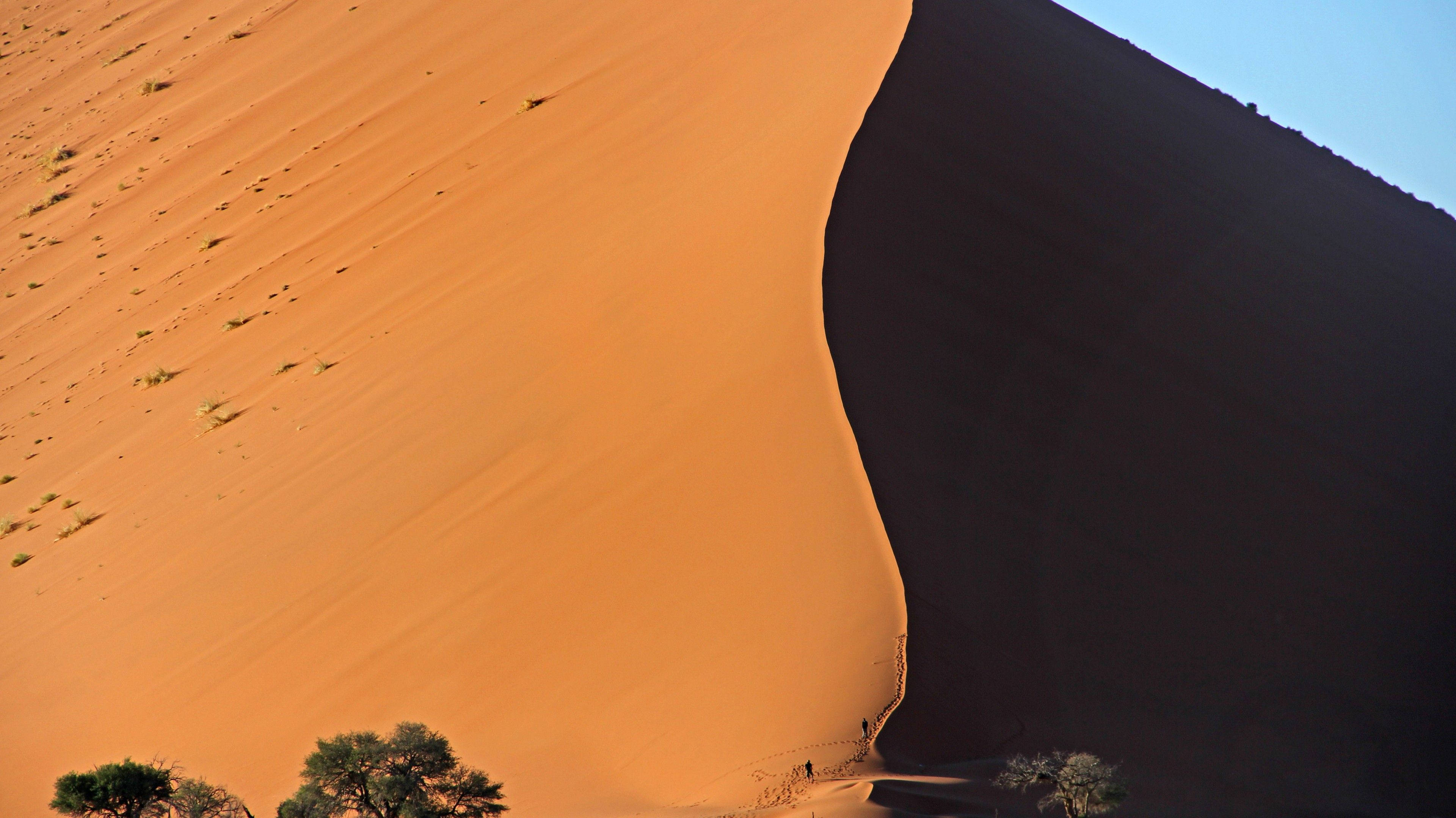 Namibia 桌布 壁紙 — 一個巨大的橙色沙丘在明亮的陽光下急劇彎曲，投下深深的陰影，底部有小樹。