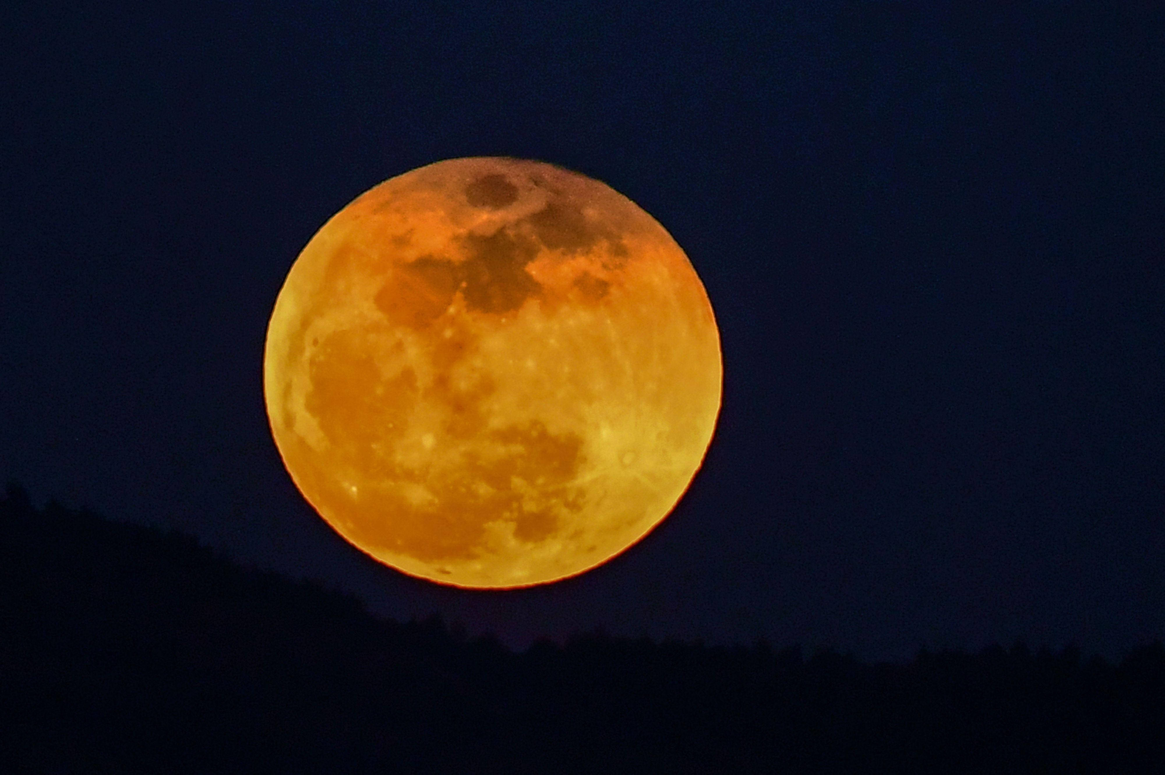 Eclipse 桌布 壁紙 — 一個巨大的橙色滿月在漆黑的夜空中發光，懸掛在剪影般的森林山脊之上。