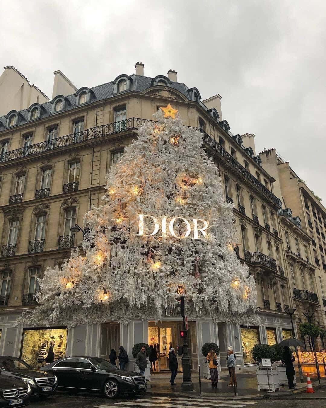Dior 動態 桌布 壁紙 — 一個巨大的白色聖誕樹，裝飾著閃爍的燈光和Dior標誌，矗立在巴黎奧斯曼風格的建築前，在一個下雨天。