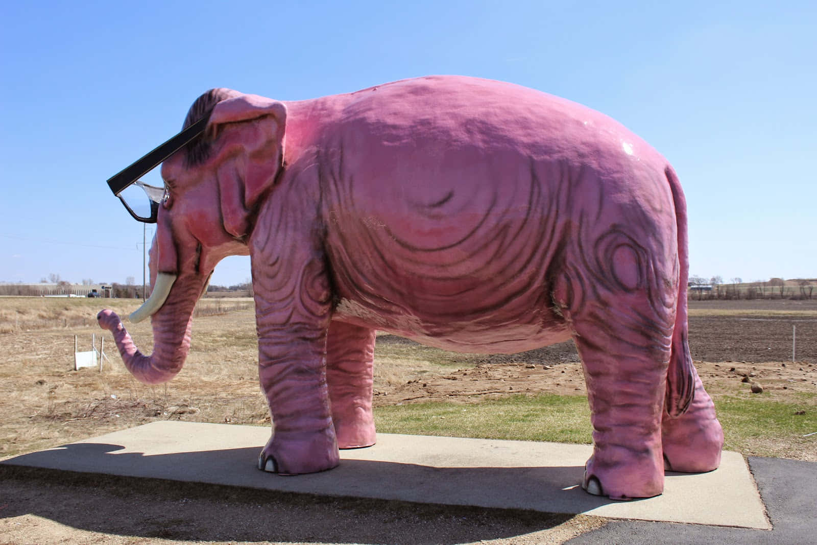 Pink Elephant 桌布 壁紙 — 一個巨大的粉紅色大象雕塑戴著眼鏡，站在乾燥的田野中，天空湛藍。