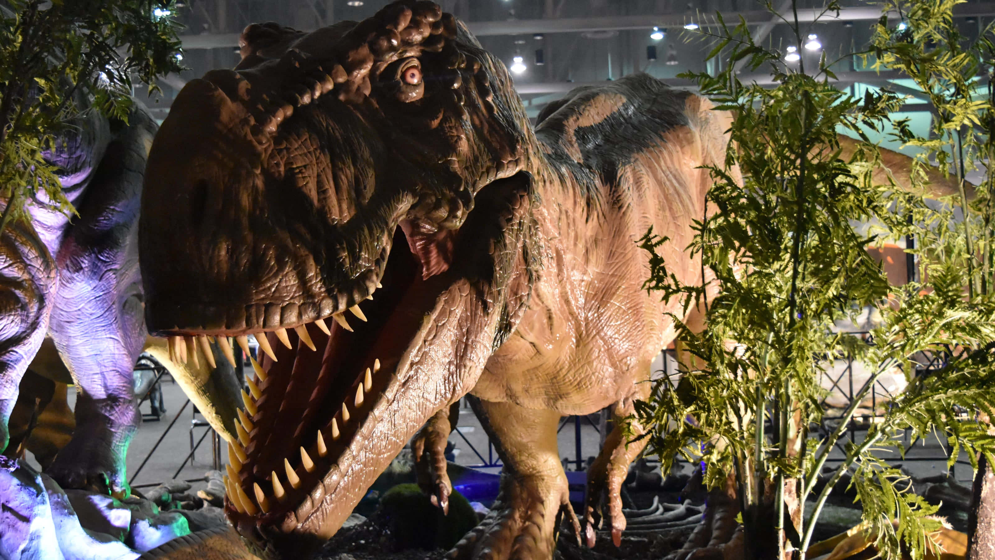 Dino 桌布 壁紙 — 一個巨大的逼真暴龍恐龍模型在室內展覽廳的蕨類植物中，在人造燈光下咆哮。