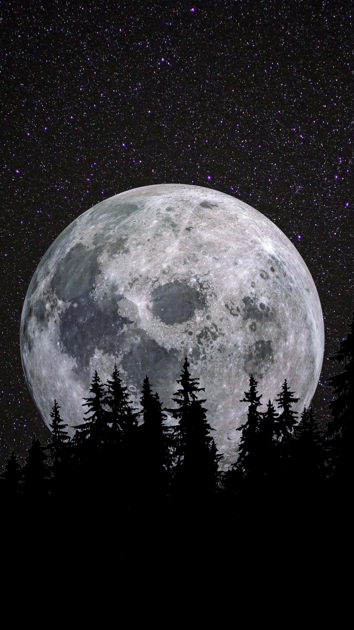 Cool Moon 桌布 壁紙 — 一個巨大而細節豐富的月亮主宰著松樹黑暗剪影上方繁星點點的紫色夜空。