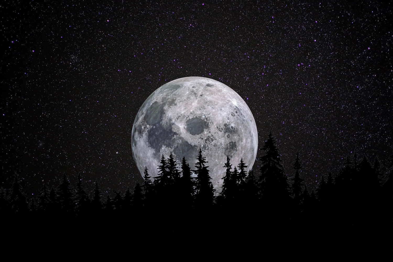 月光 桌布 壁紙 — 一個巨大而細節豐富的月亮在星夜下從黑暗森林的剪影後升起。