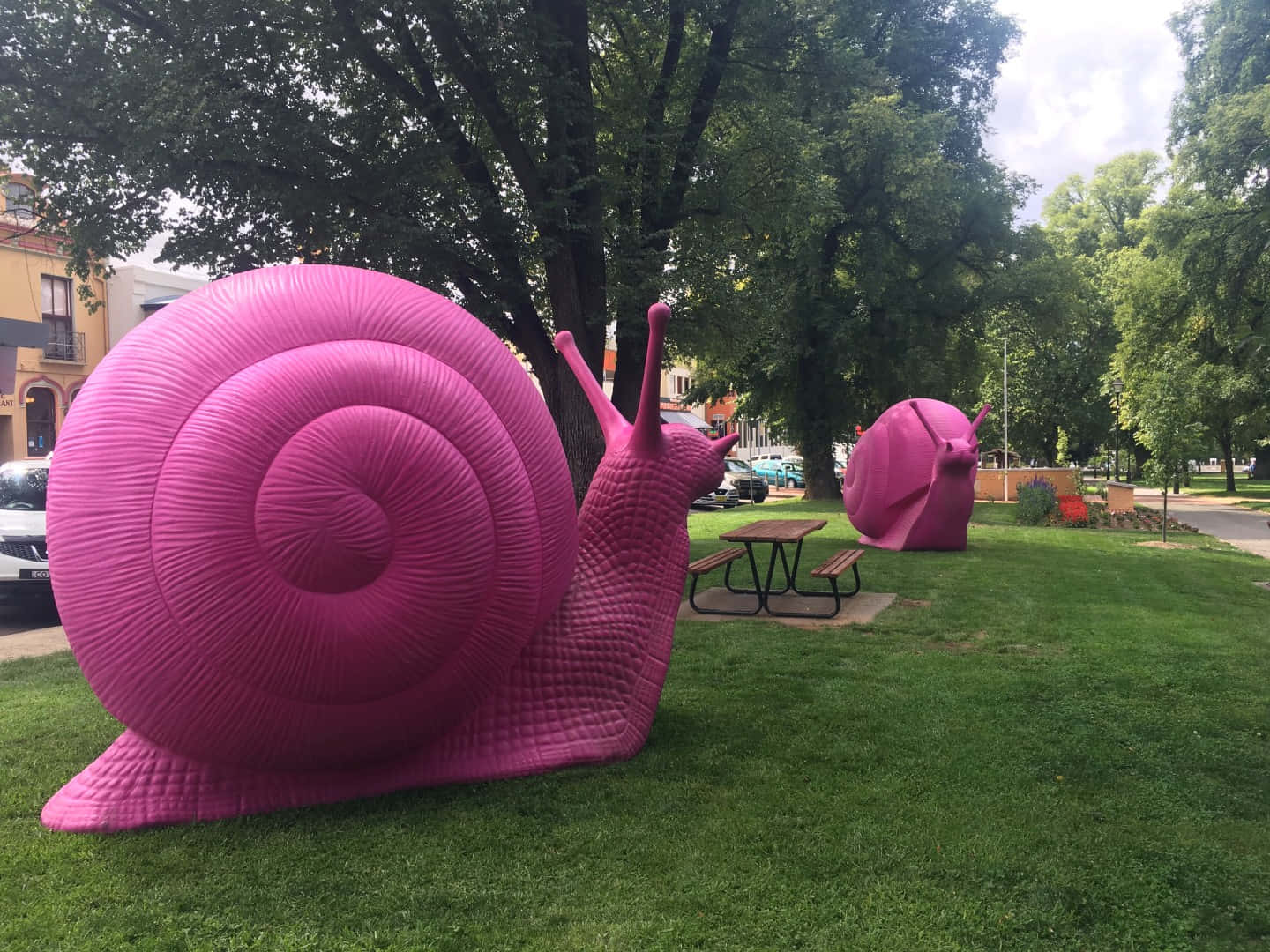 Pink Snail 桌布 壁紙 — 一個巨大鮮豔的粉紅色蝸牛雕塑，放置在陽光明媚的城市公園中，綠草如茵，旁邊有野餐桌，上方是枝葉茂密的樹木。