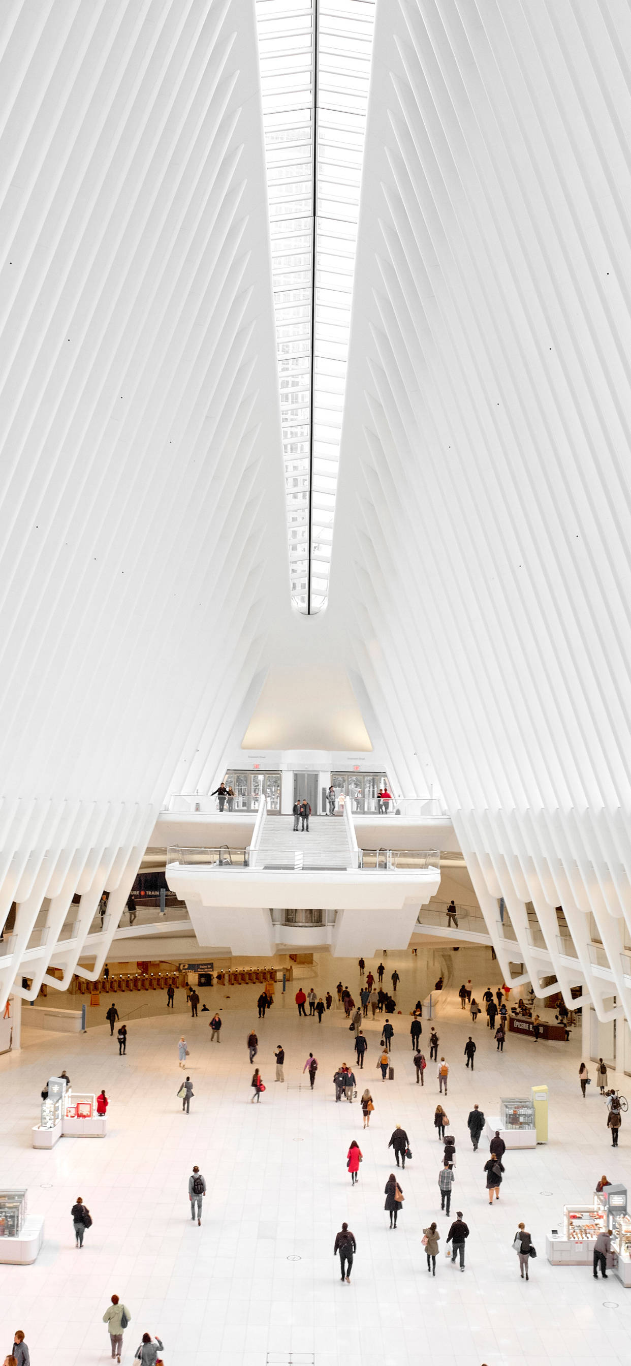 Architecture 桌布 壁紙 — 一個帶有中央天窗的宏偉白色拱形天花板照亮了一個熙熙攘攘的現代交通樞紐，充滿了人群。