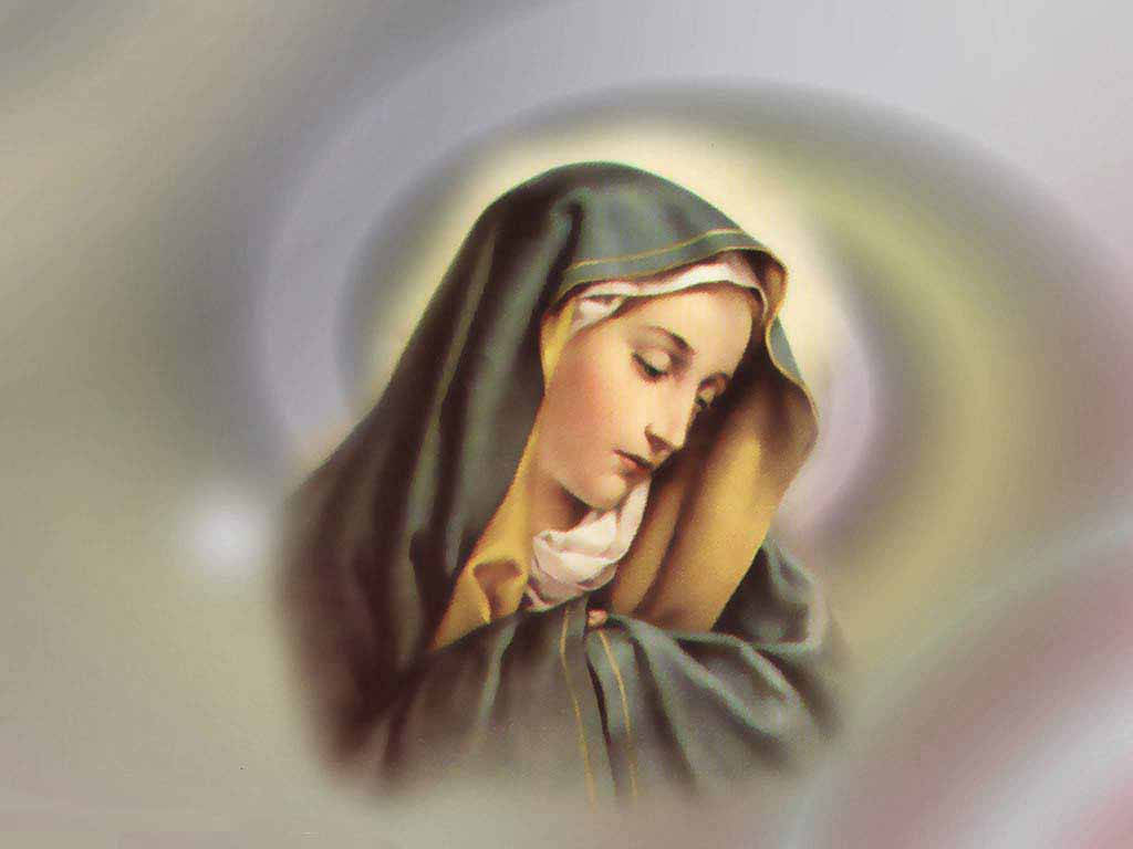 Virgin Mary 桌布 壁紙 — 一個帶有光環的寧靜宗教人物，在柔和的模糊背景下靜默沉思地向下凝視。