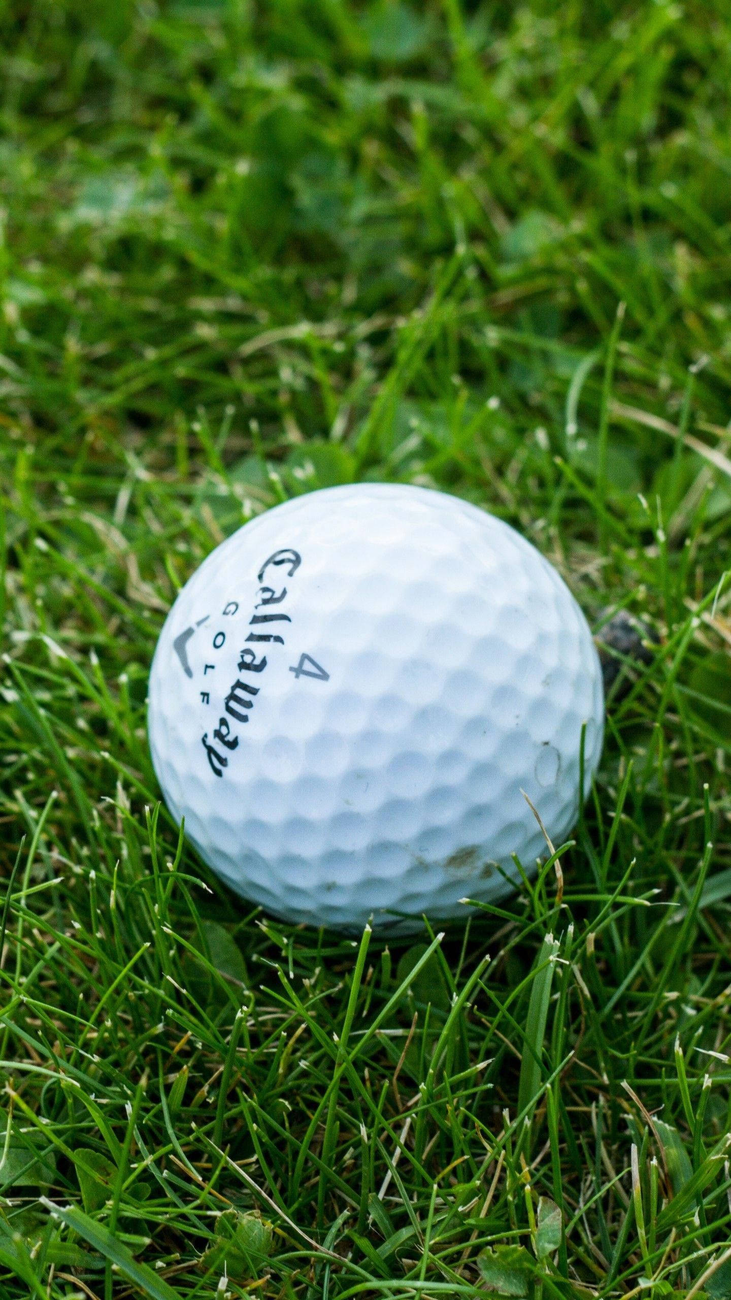 Golfing 桌布 壁紙 — 一個帶有凹痕的白色Callaway高爾夫球在自然光下放置在充滿活力的綠色草地上。